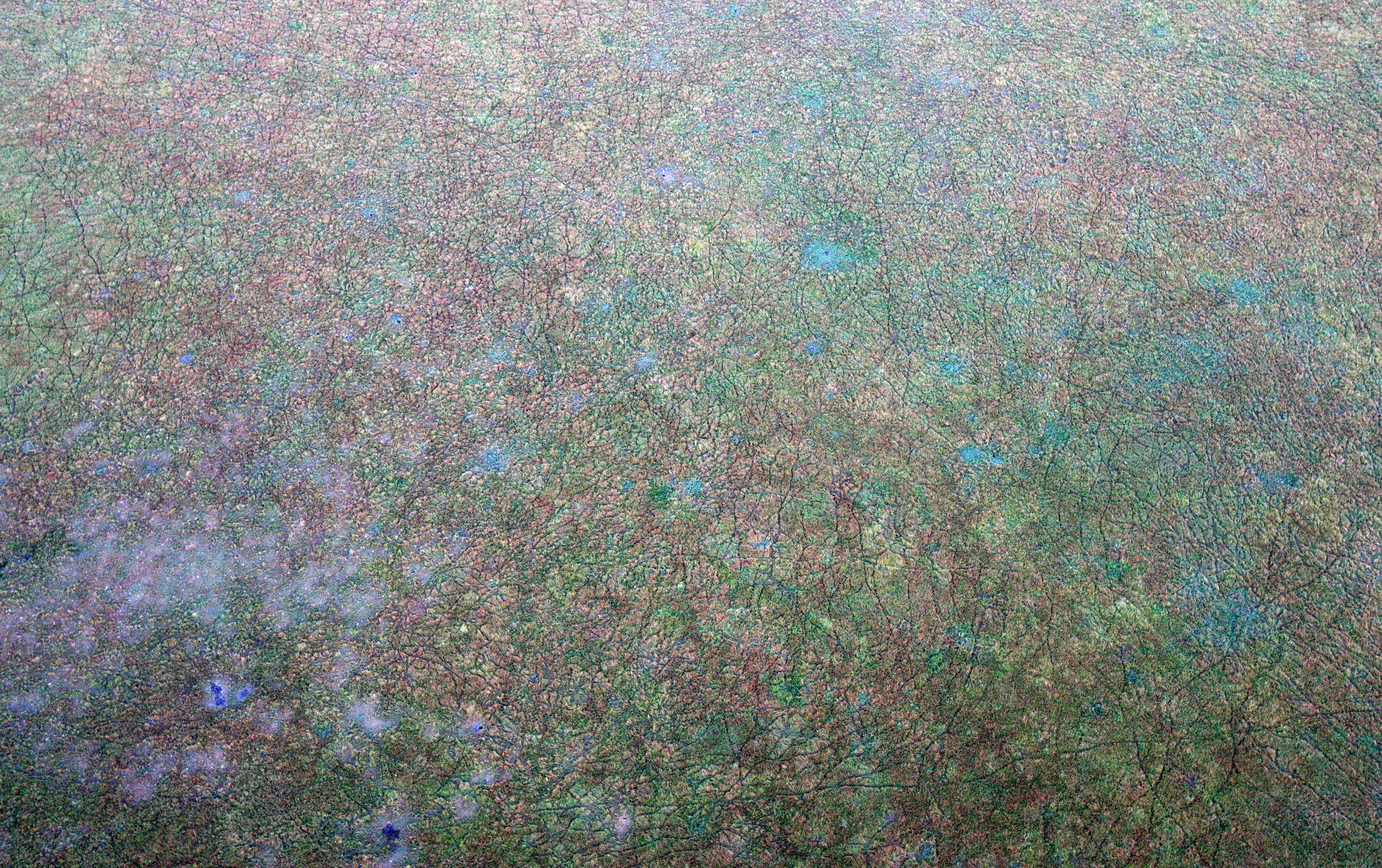 MASAI MARA NATIONAL PARK KENYA (85).JPG