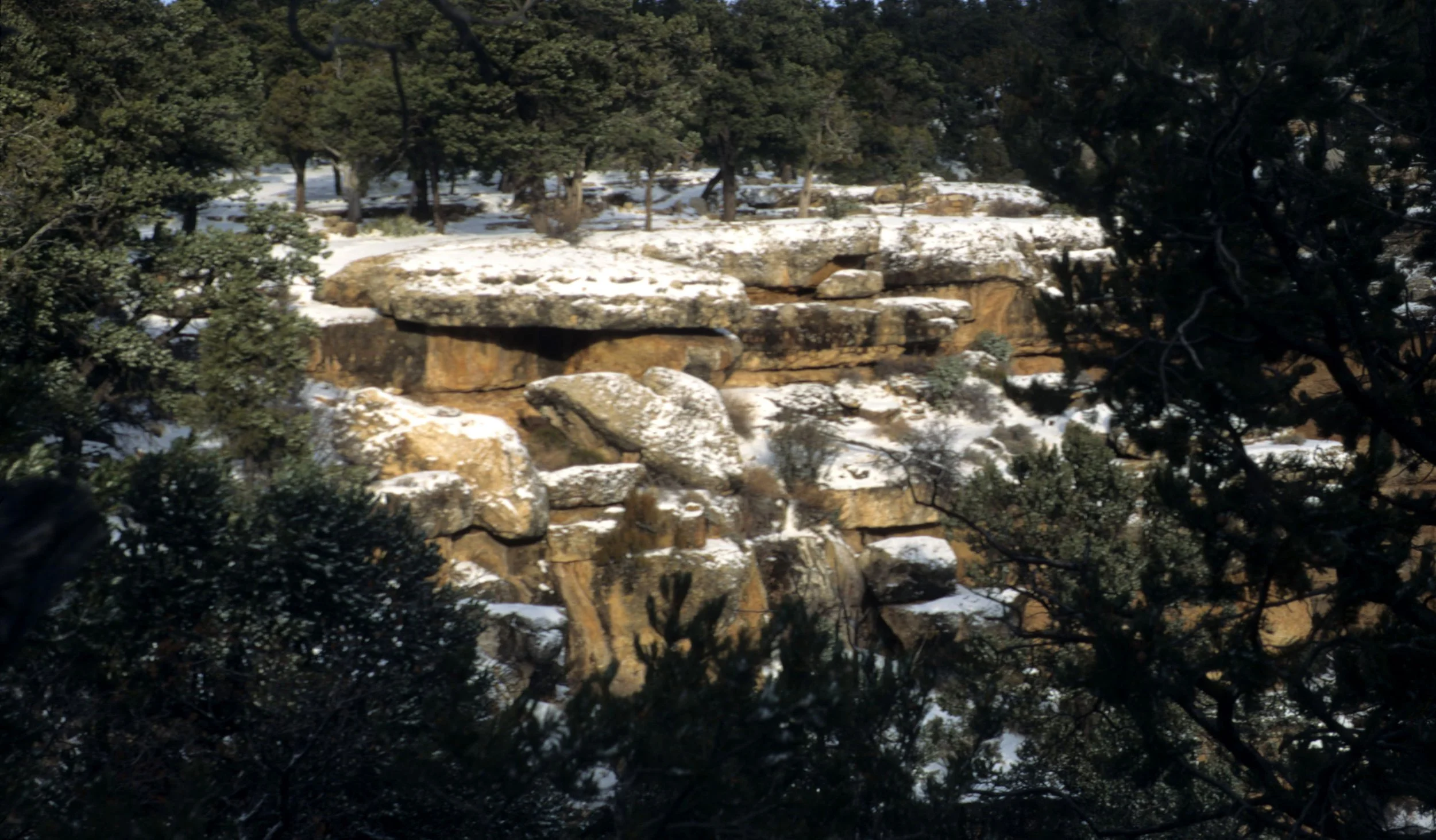 ARIZONA - GRAND CANYON NATIONAL PK (34).jpg