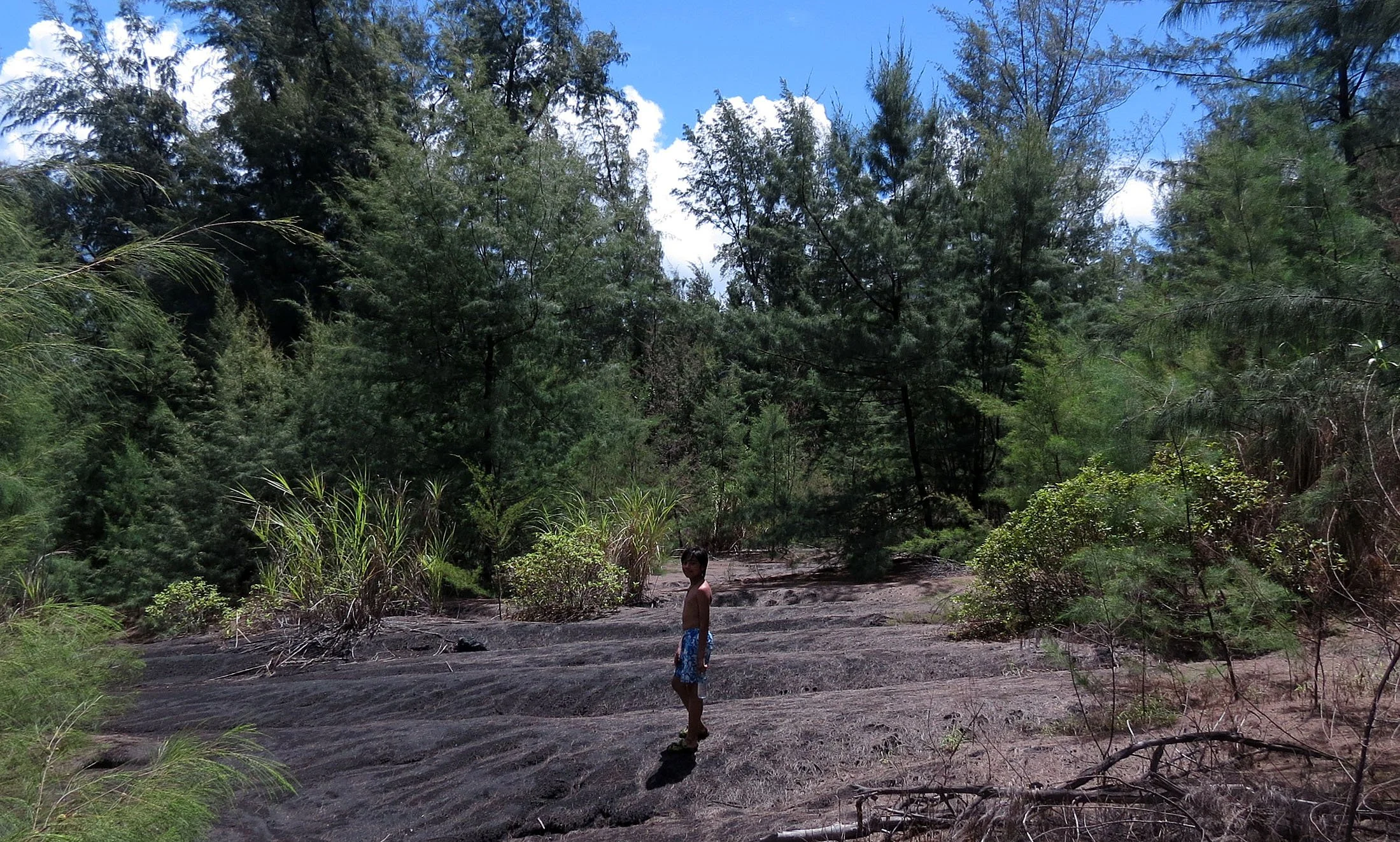 KRAKATAU NATIONAL PARK - JAVA BARAT INDONESIA (37).JPG