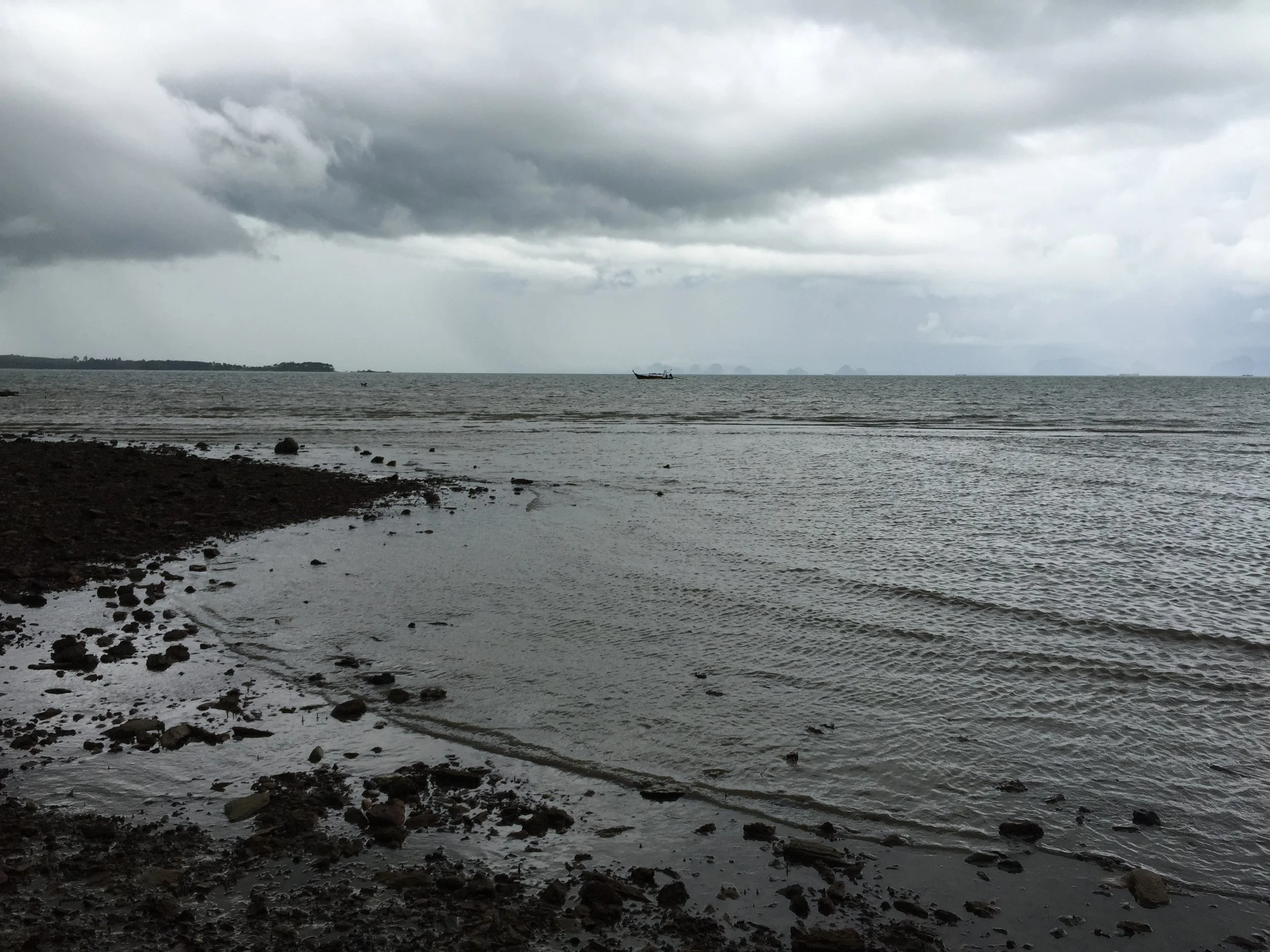 2015 Koh Lanta Garden & Nature (242).JPG