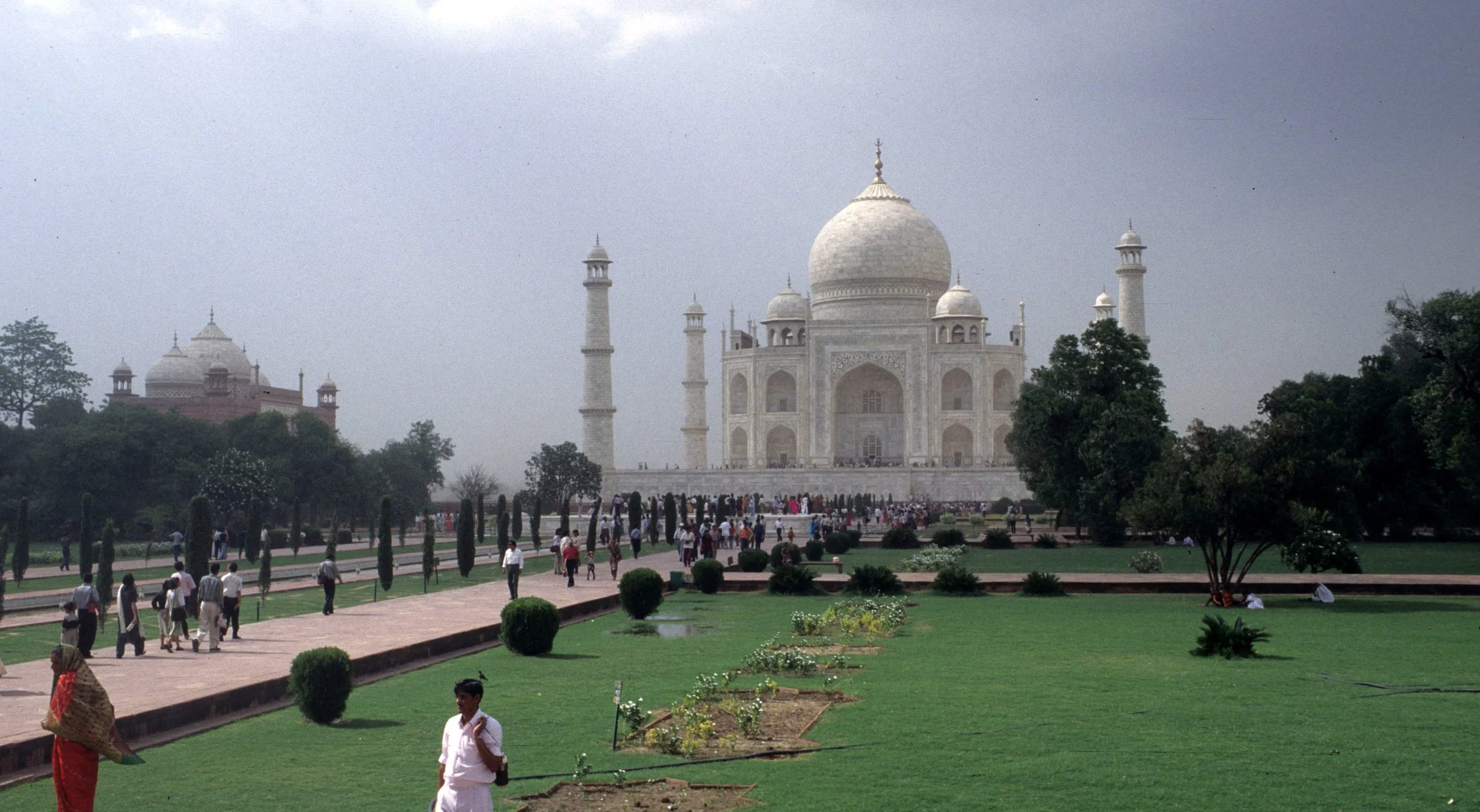 INDIA - AGRA - TAJ MAHAL L.jpg