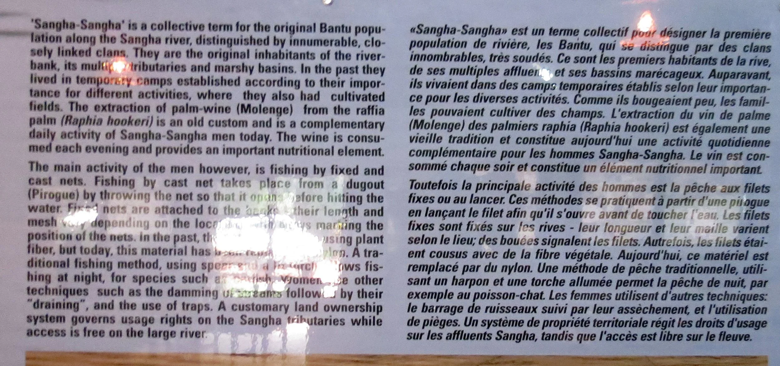 DZANGA NDOKI NATIONAL PARK CENTRAL AFRICAN REPUBLIC (72).JPG