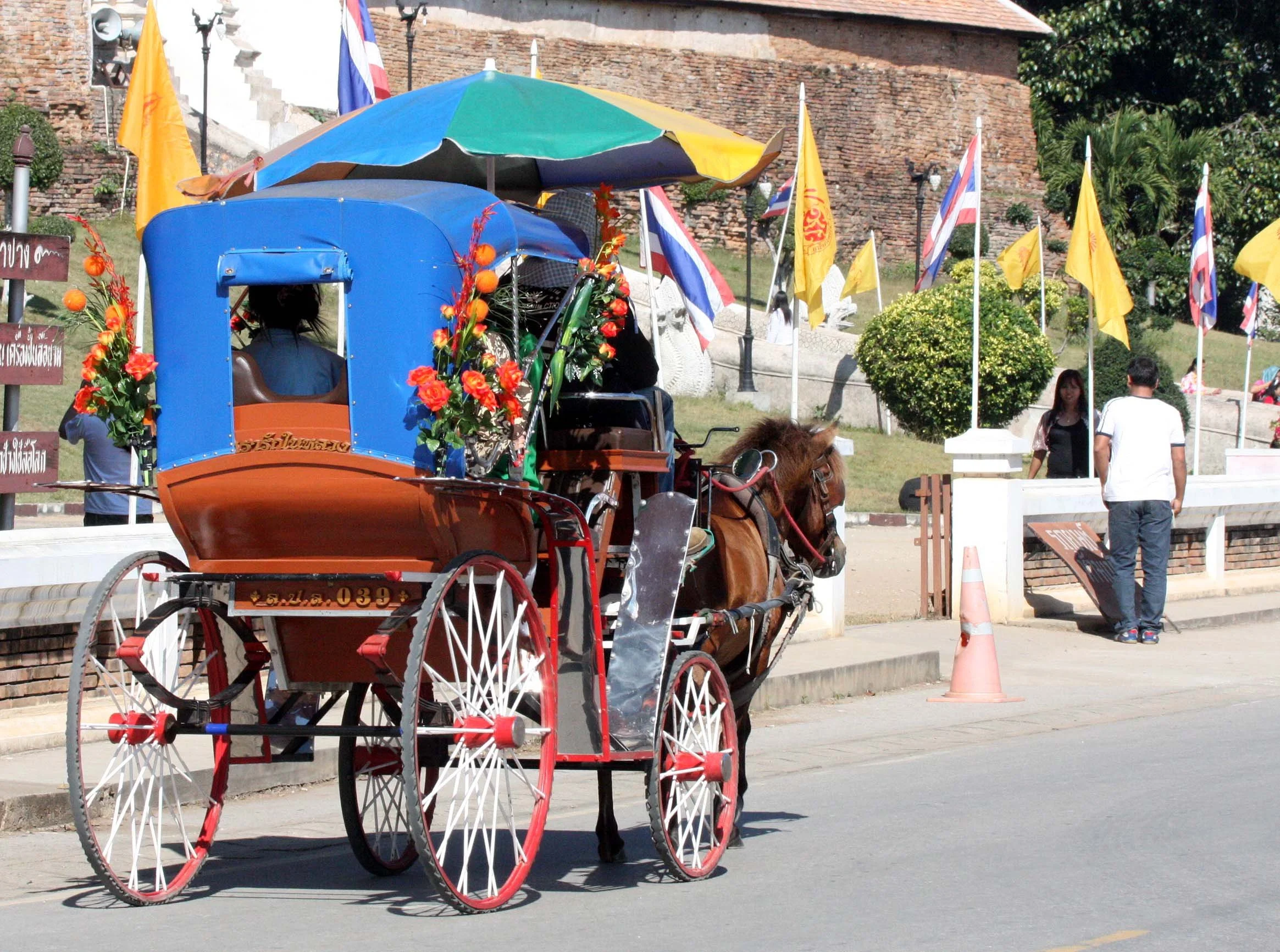 2008 Lampang City & Elephant Center (1).JPG