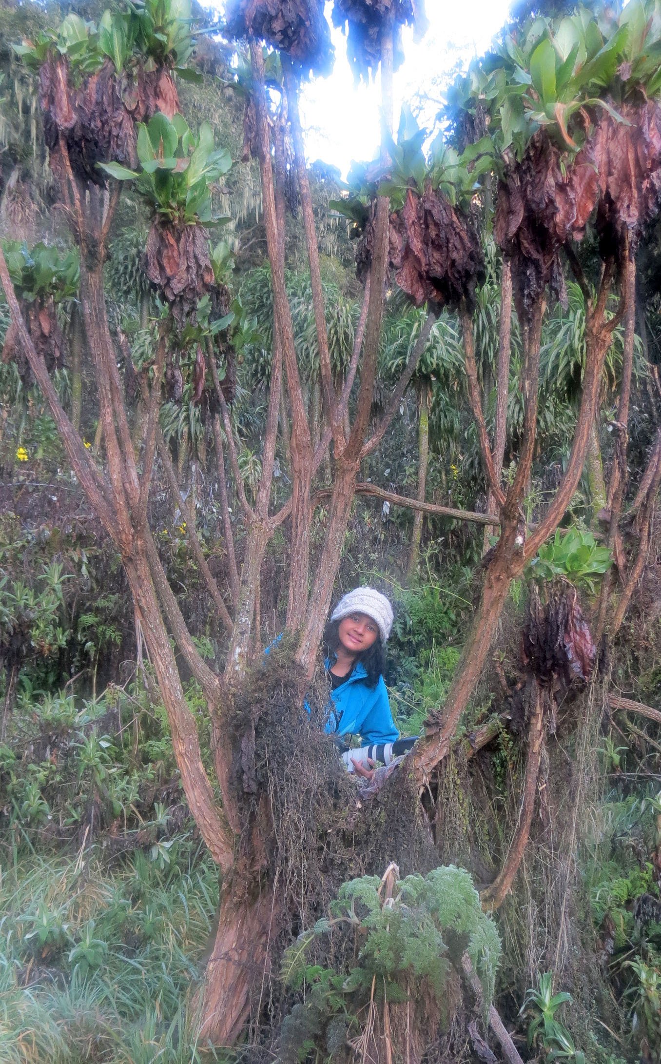 RWENZORI NATIONAL PARK UGANDA (224).JPG