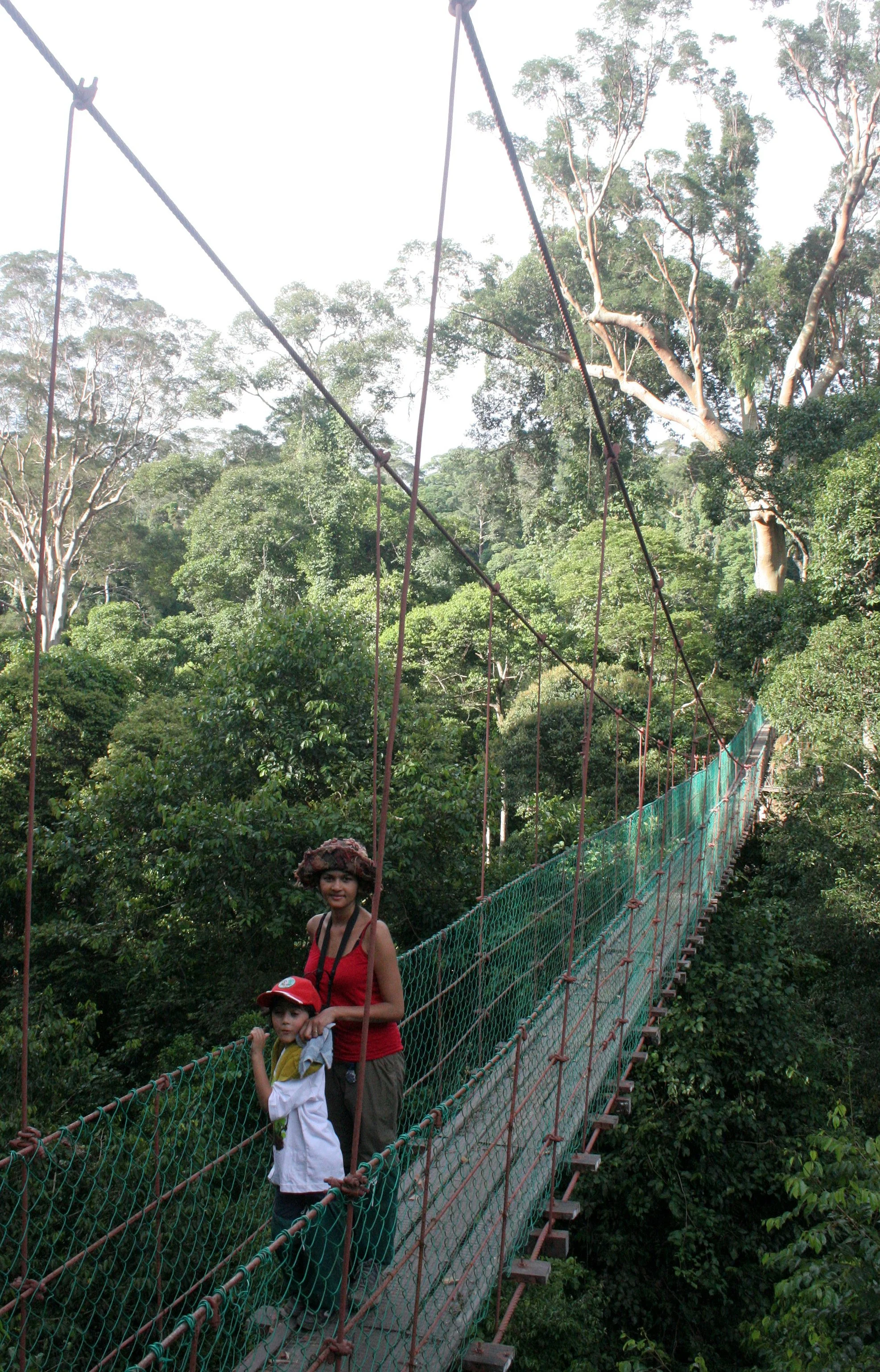 DANUM VALLEY BORNEO - CANOPY WALKWAY -  BRL.JPG
