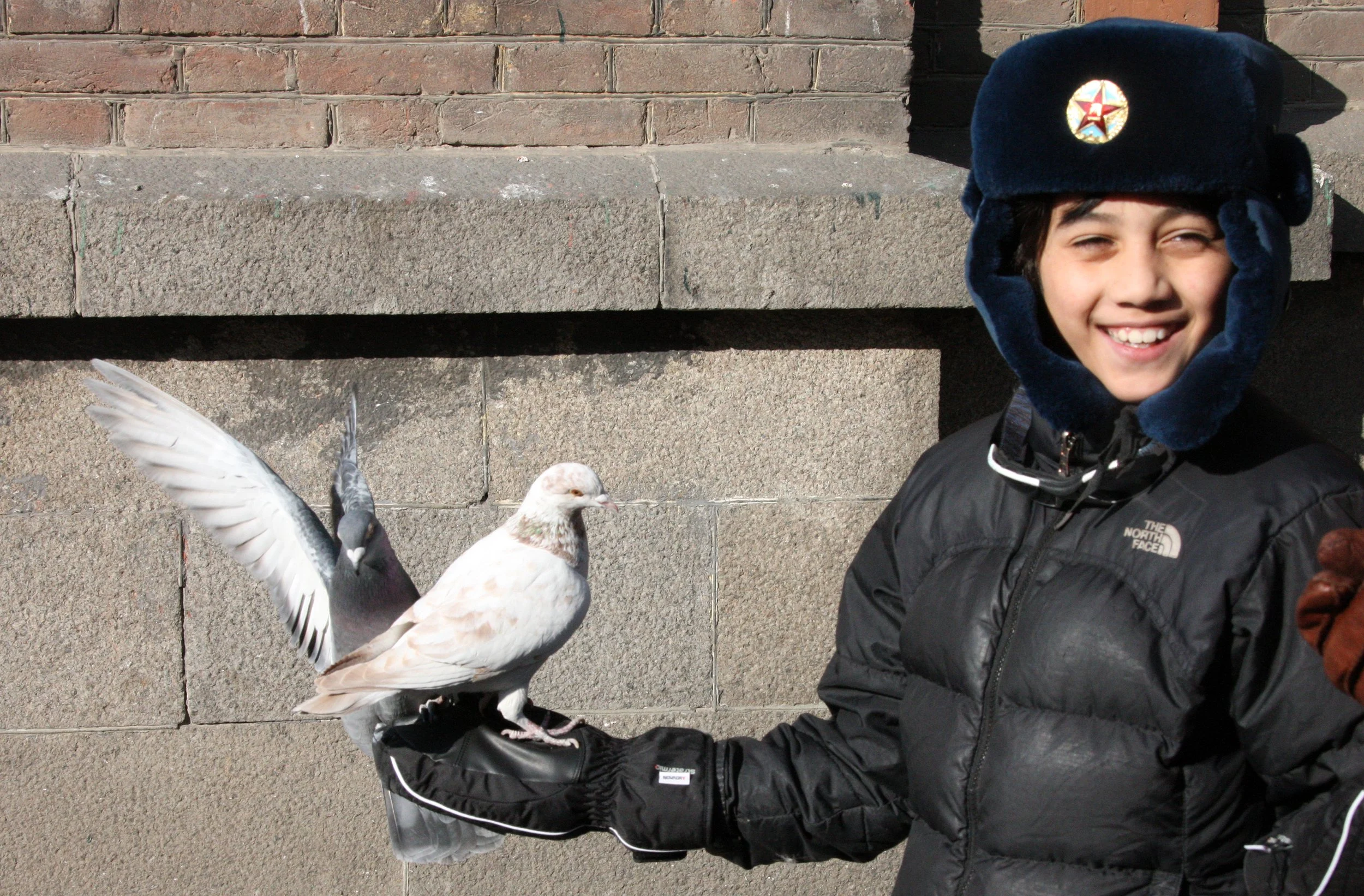 BIRD - PIGEON - HARBIN SAINT SOPHIA'S CATHEDRAL CHINA (60).JPG