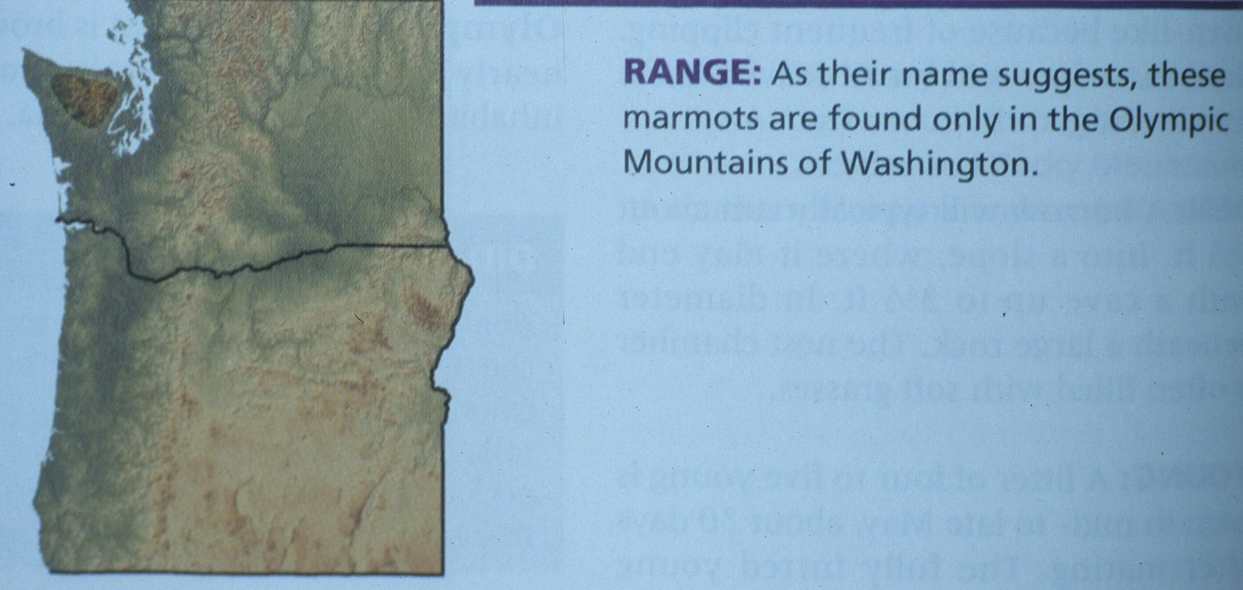 RODENTIA - MARMOT - OLYMPIC - MARMOTA OLYMPICA DISTRIBUTION MAP.jpg