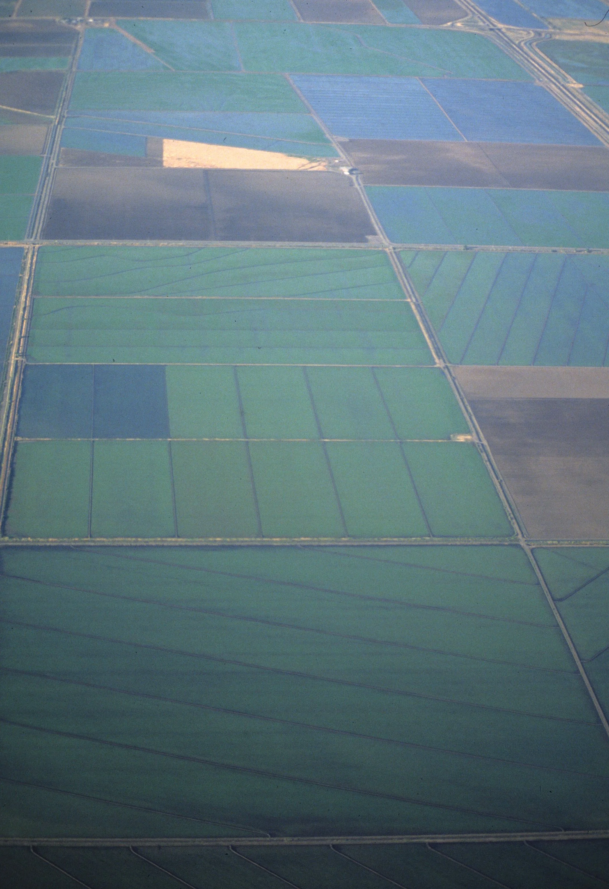 CALIFORNIA - CENTRAL VALLEY - SAN JOAQUIN A.jpg