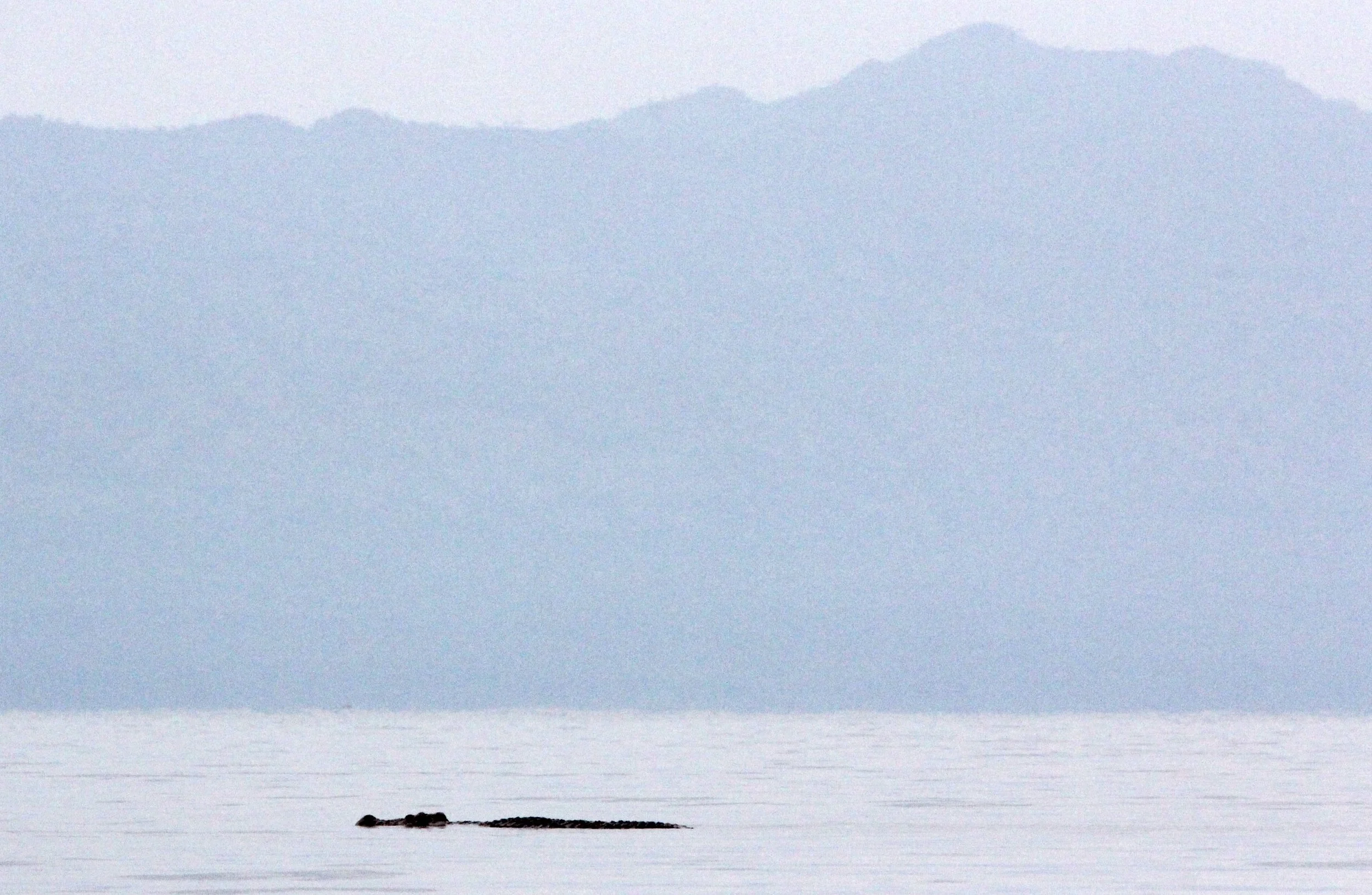 NECH SAR NATIONAL PARK ETHIOPIA - LAKE ABAYA (2).JPG