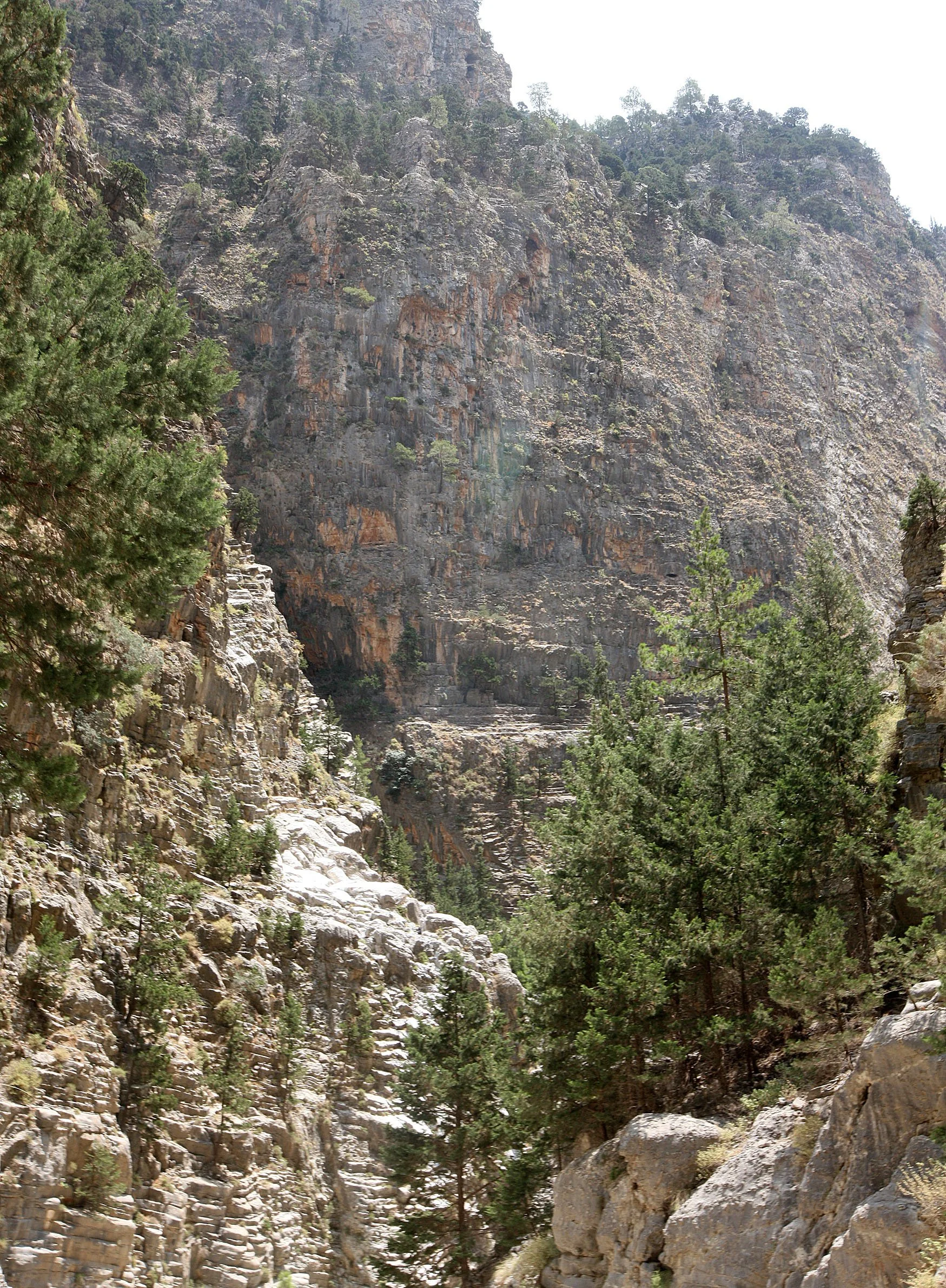 SAMARIA GORGE NATIONAL PARK CRETE (80).JPG