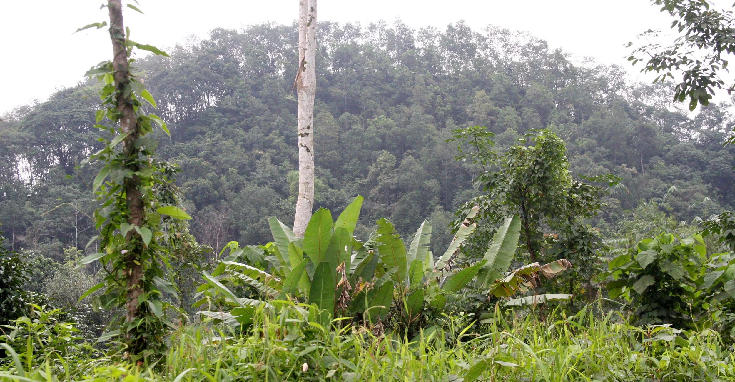 2009 Promluk Property Views (26).JPG