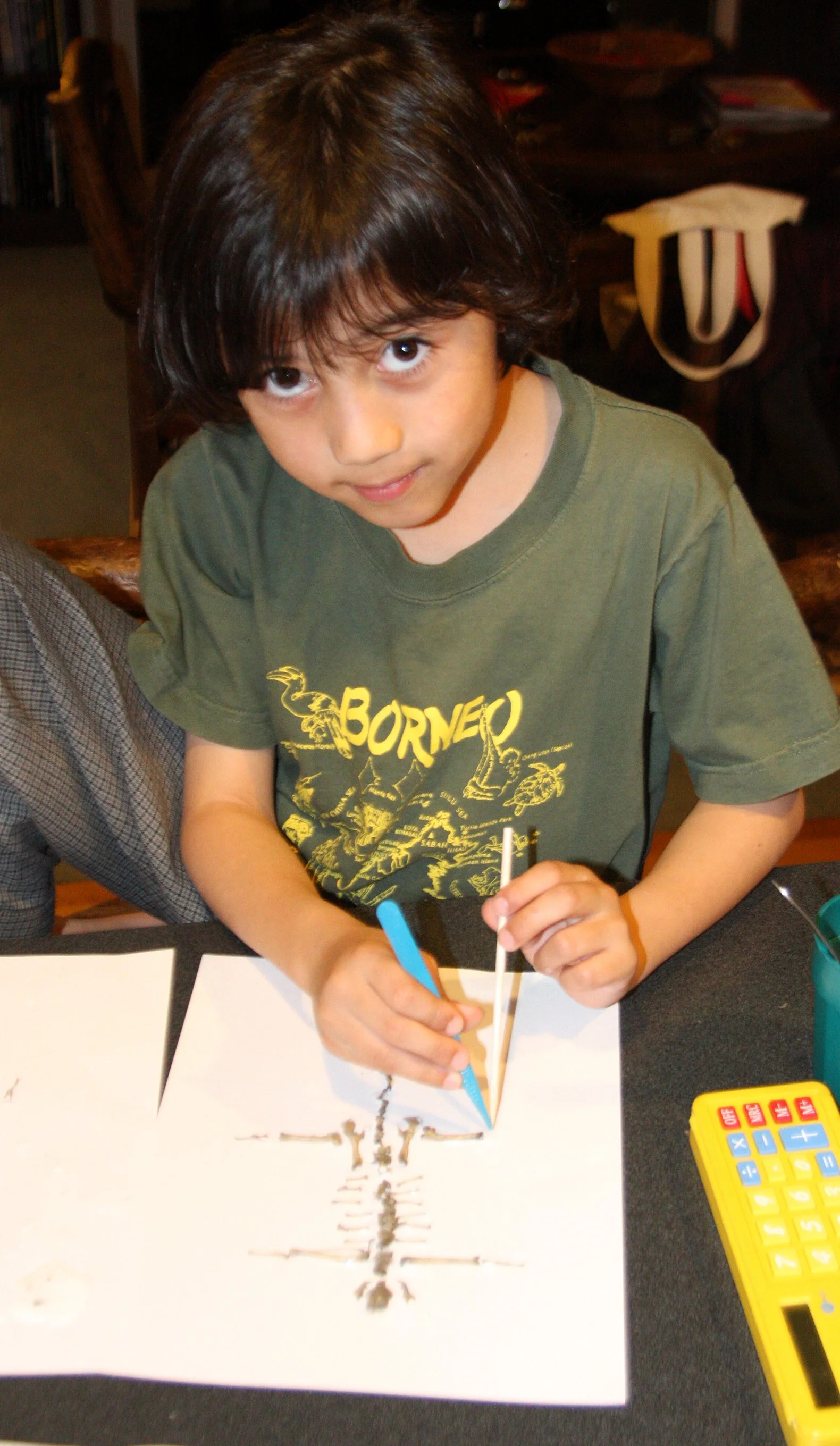 2009-10-29 COKIE'S FIRST OWL PELLET (2).jpg