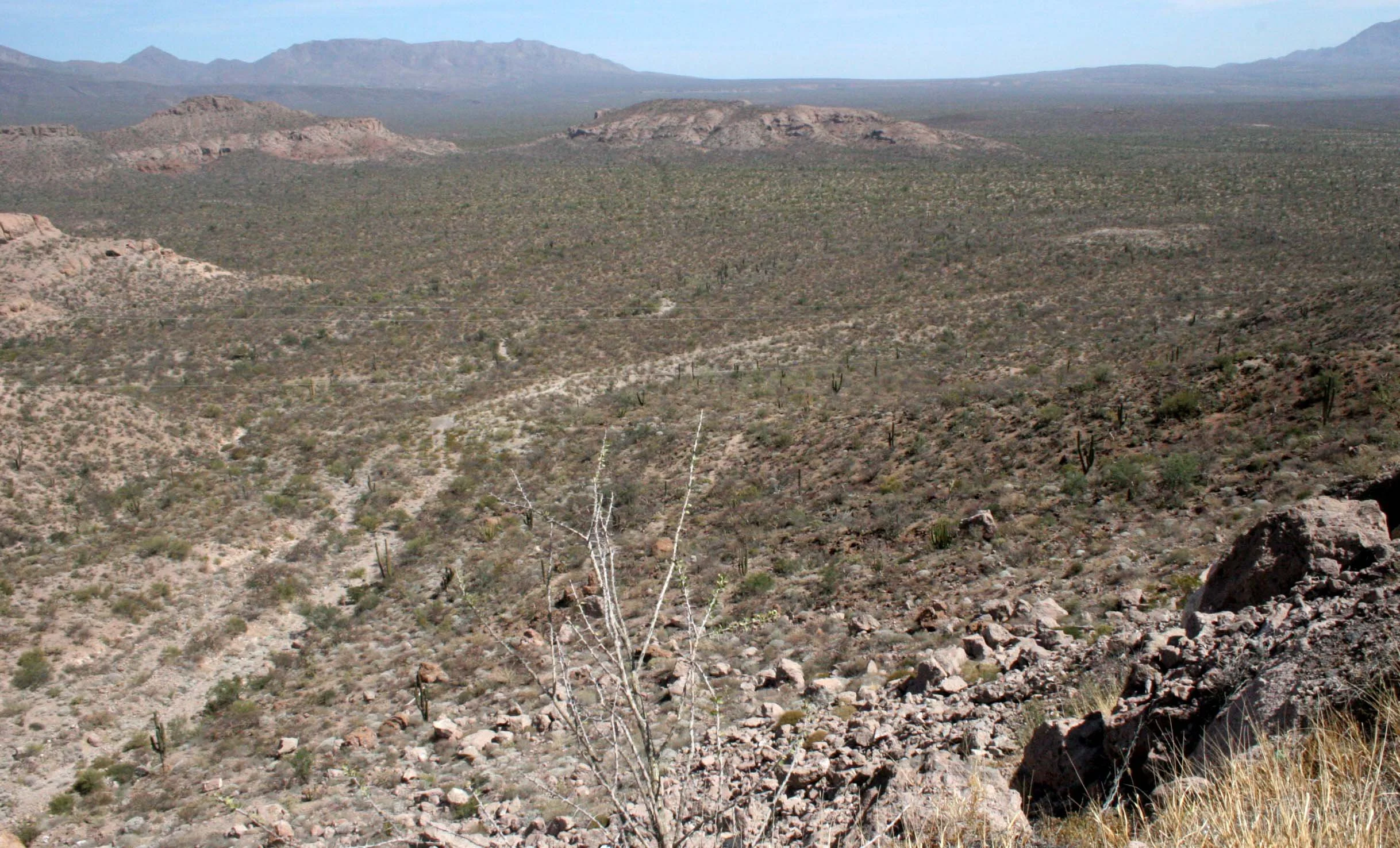 BAJA DESERT COMMUNITY (3).JPG