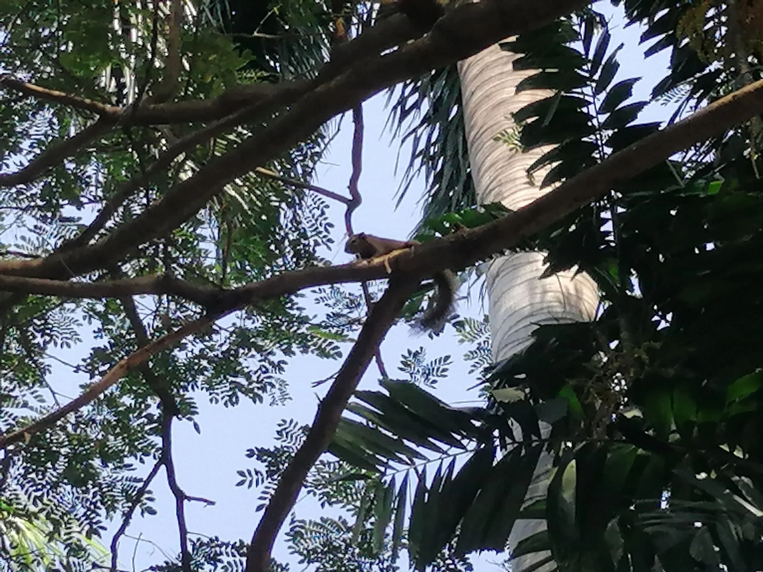 2019 Nakhon Pathom Trip Temples with Cokie (21).jpg