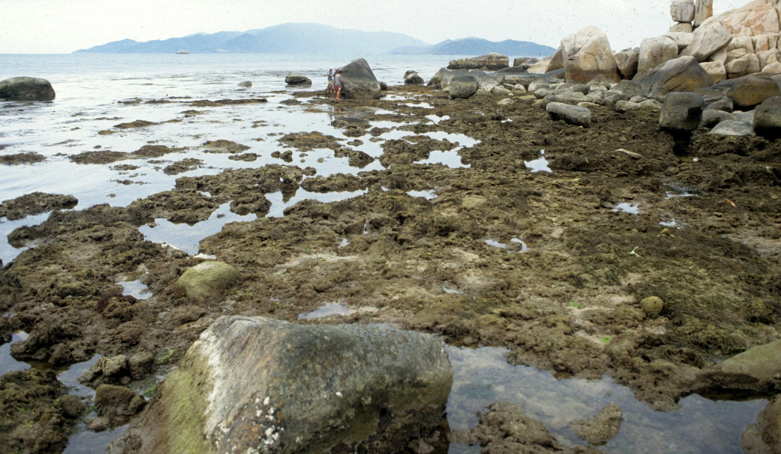 NHA TRANG - DENUDED TIDAL POOLS.jpg
