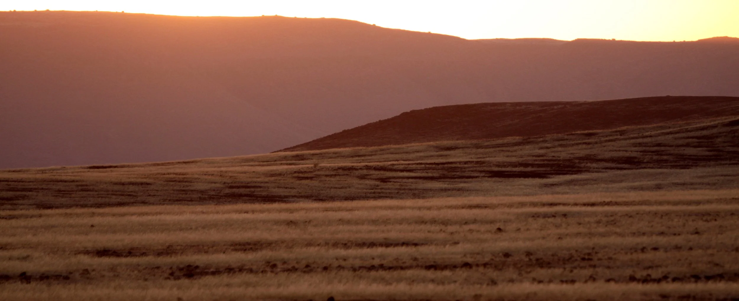 NAMIBIA - SKELETON COAST NATIONAL PARK - EAST ENTRANCE (13).JPG