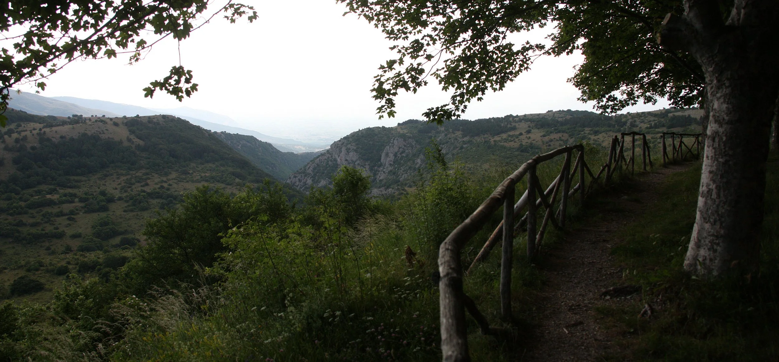 ABRUZZO NATIONAL PARK ITALY (156).JPG
