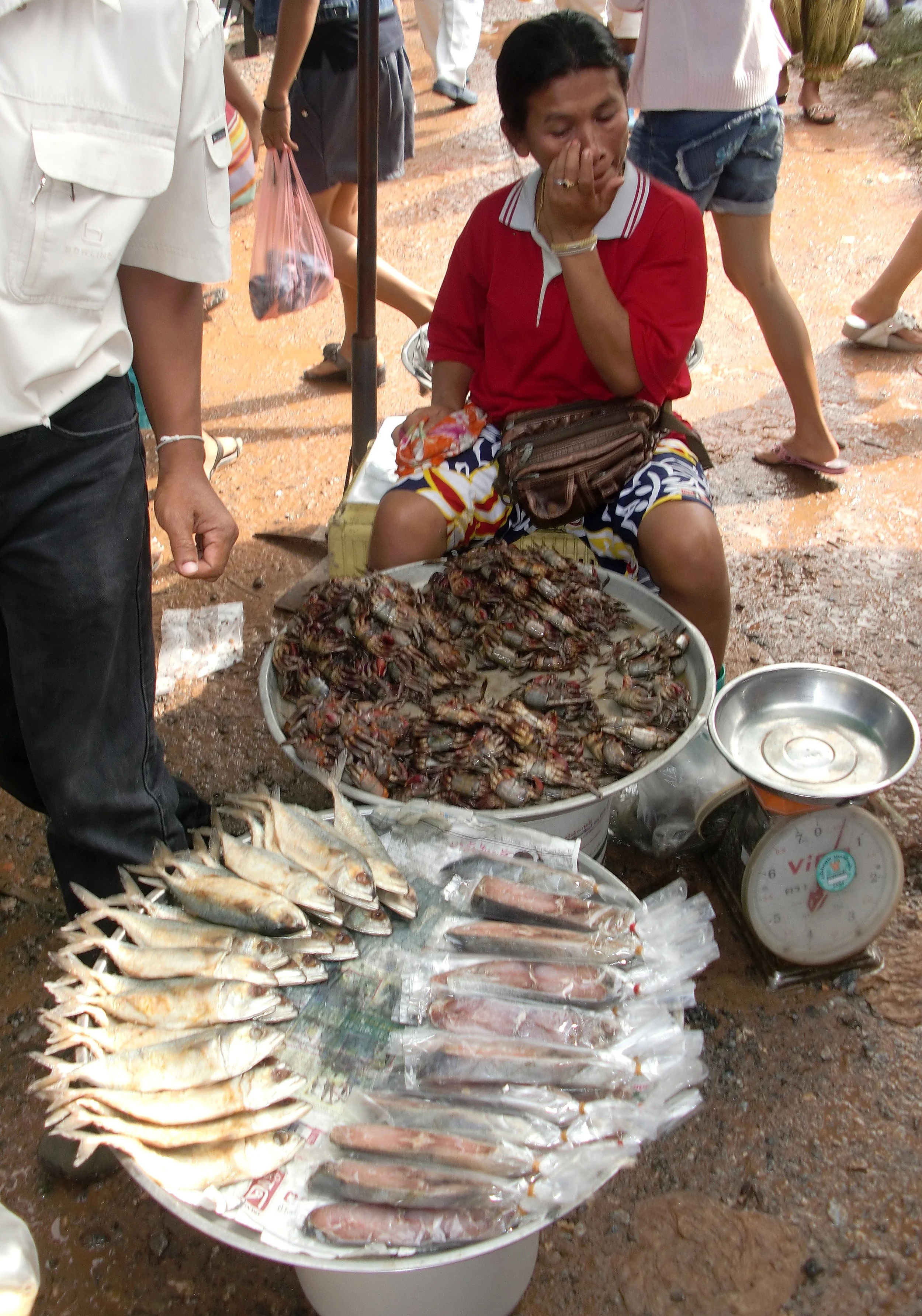 2011 Nakhonsithammarat Winter in Thailand Trip (14).JPG