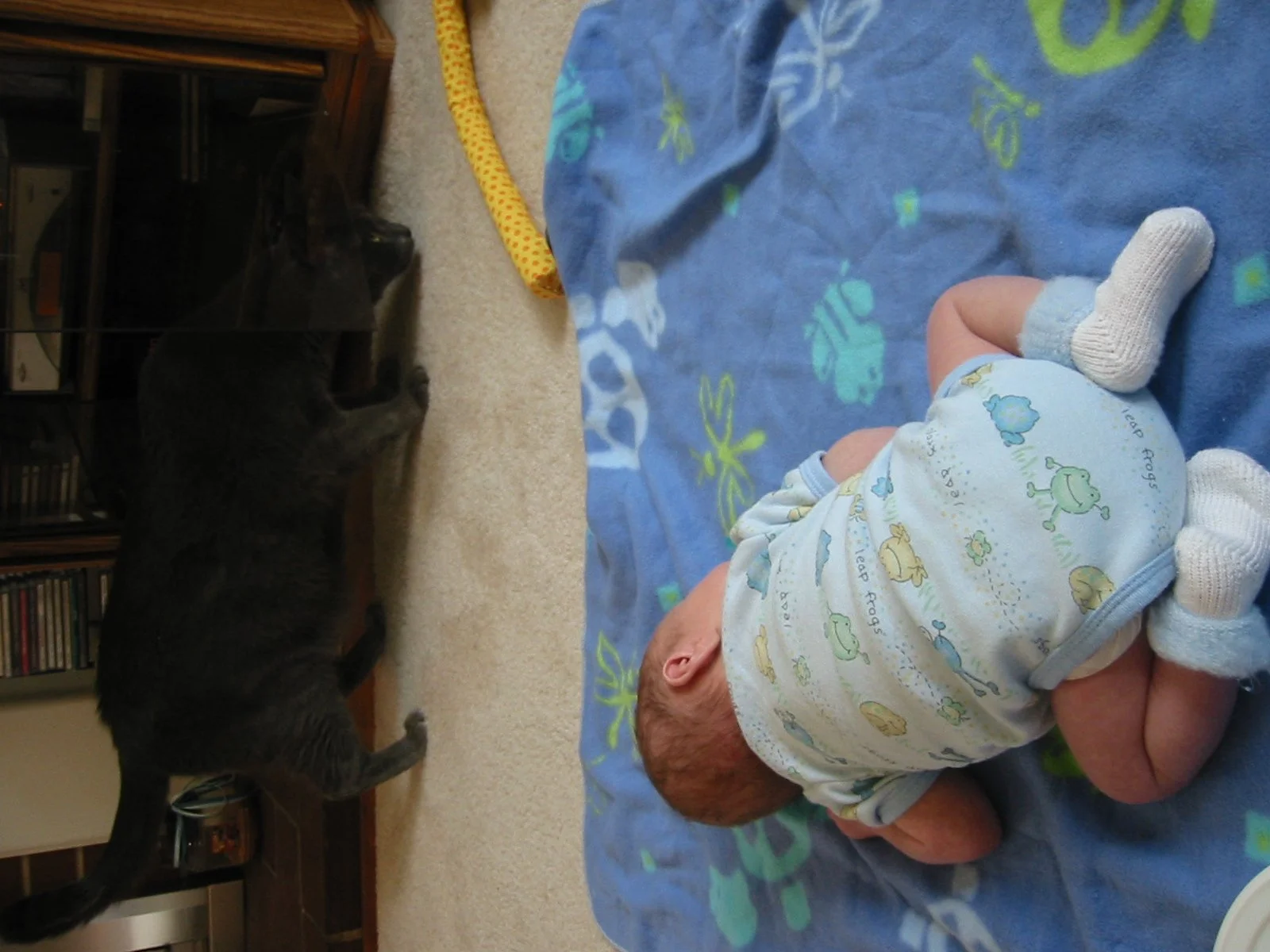 2003-4-1 SPRING TRIP TO SACRAMENTO (118).JPG