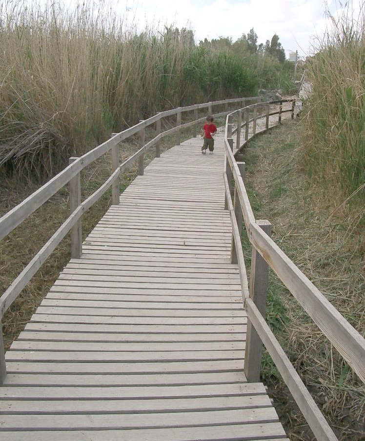 AZRAQ WETLANDS (3).JPG