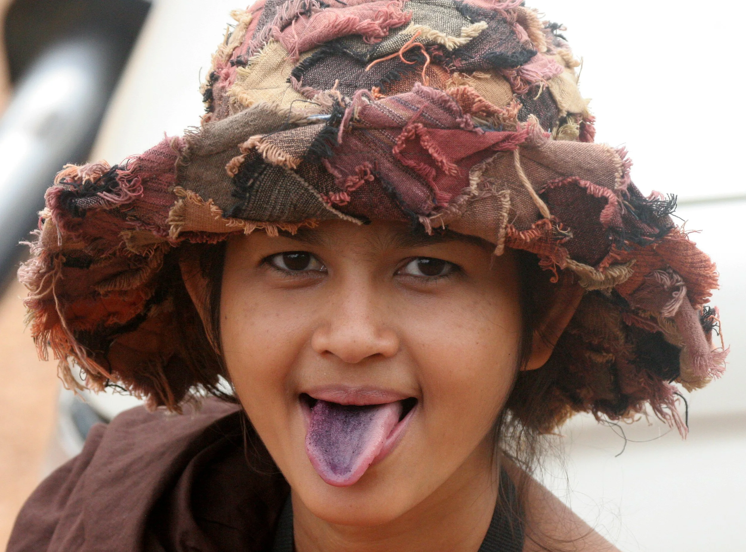 TABIN WILDLIFE RESERVE BORNEO - MILTONIA SPECIES  (2).JPG