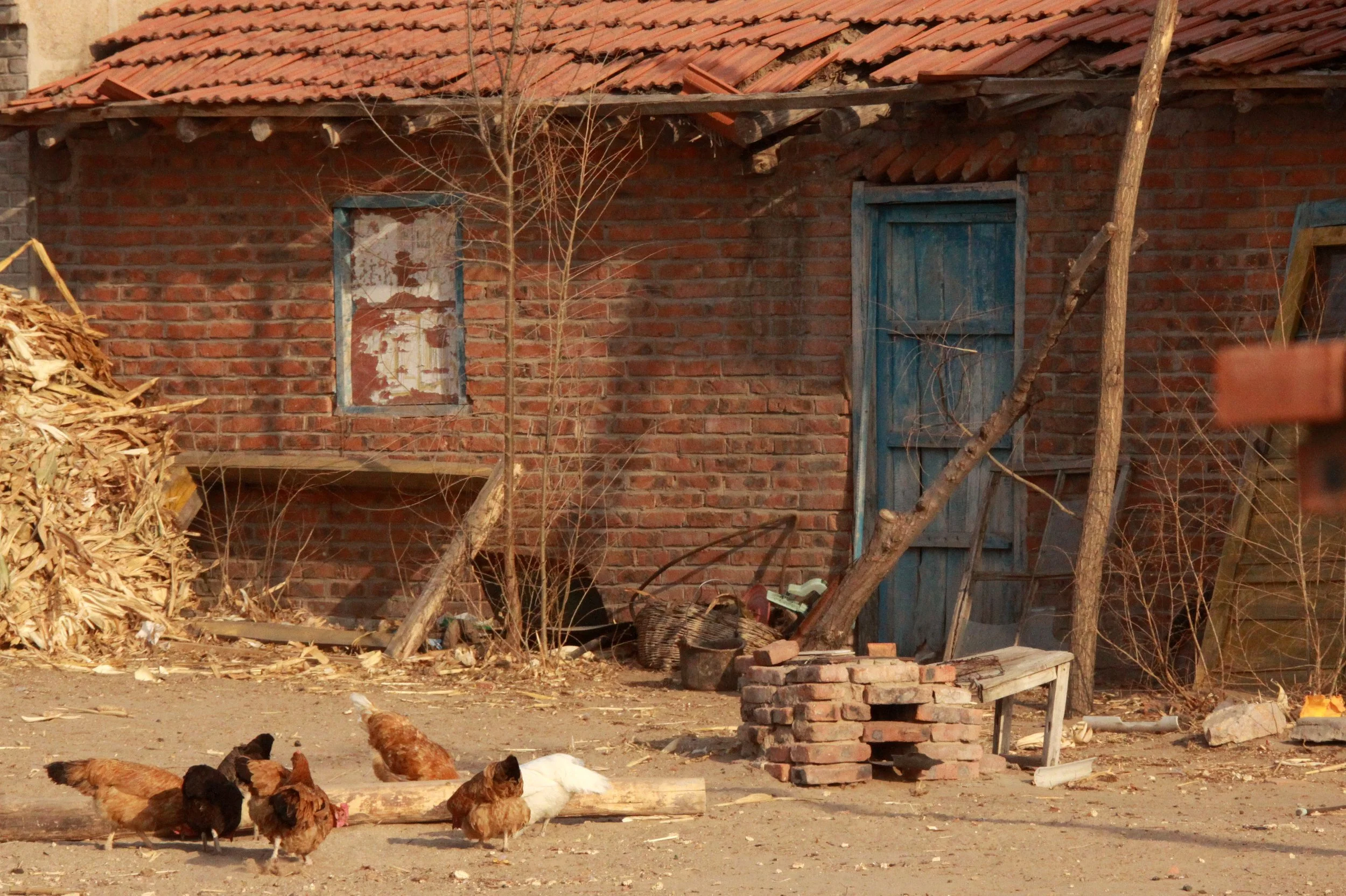 KULUN QI & SURROUNDING VILLAGES - INNER MONGOLIA CHINA (81).JPG