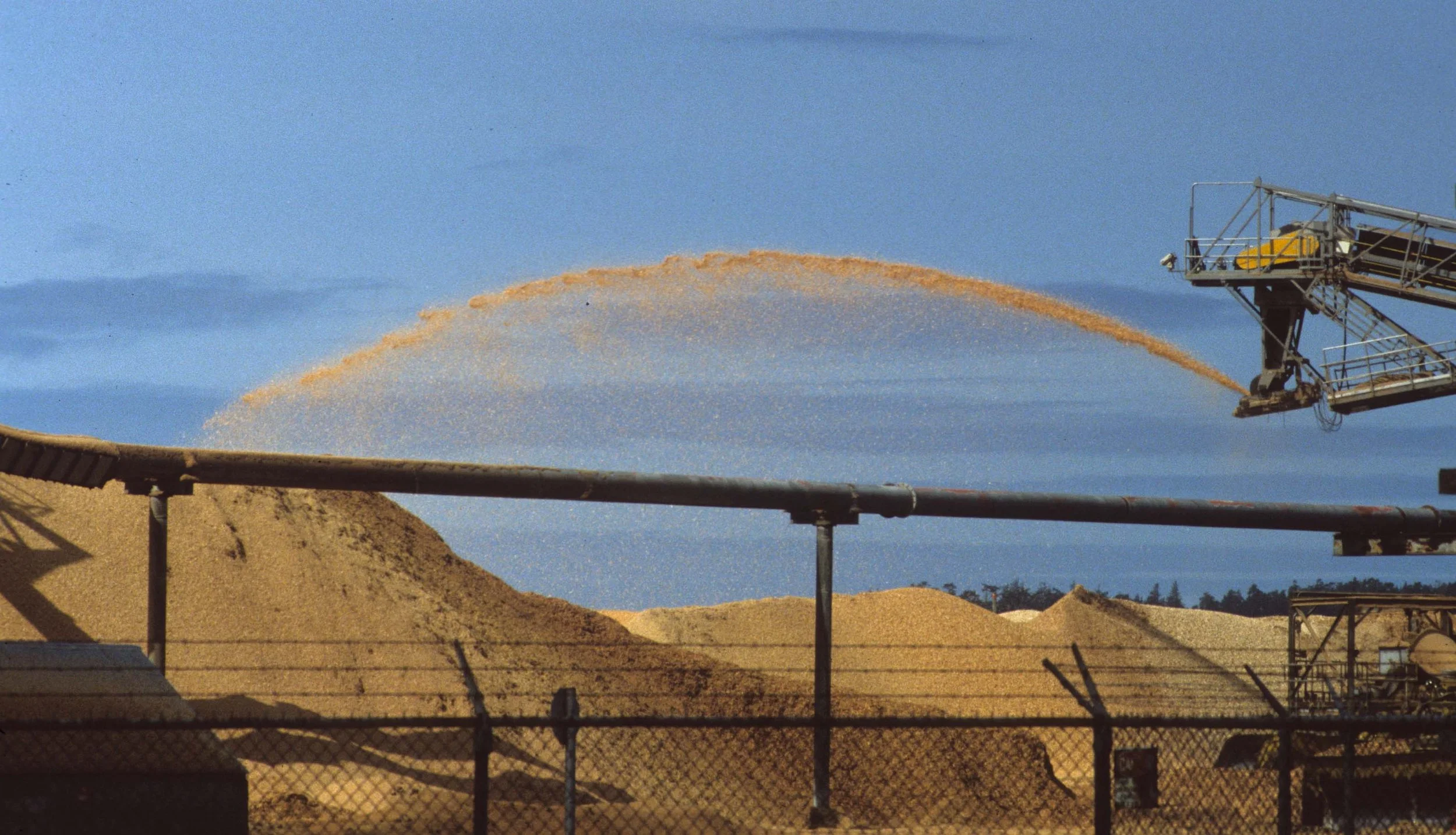 CALIFORNIA - REDWOODS NP - LOGGIN PRACTICES B (2).jpg