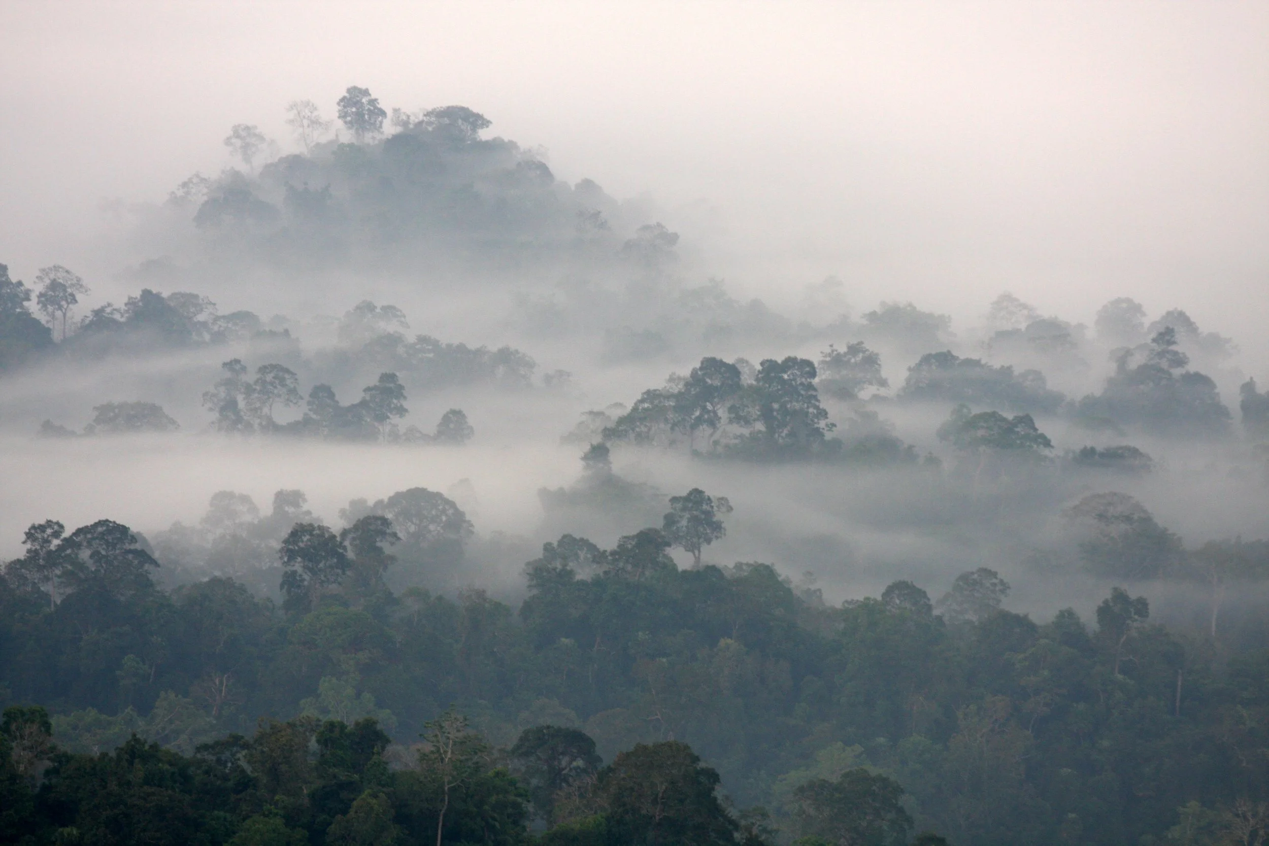 KAENG KRACHAN NATIONAL PARK THAILAND - THALE MOG (12).JPG