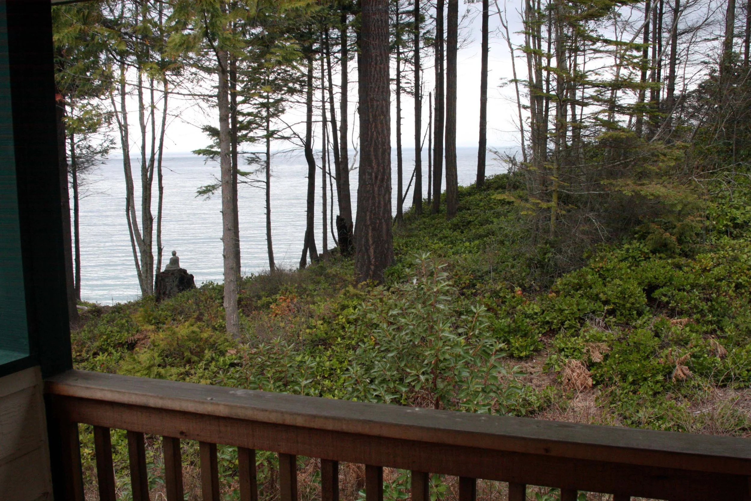 2009-4-24 - HOUSE - VIEW FROM MASTER SUITE (3).JPG