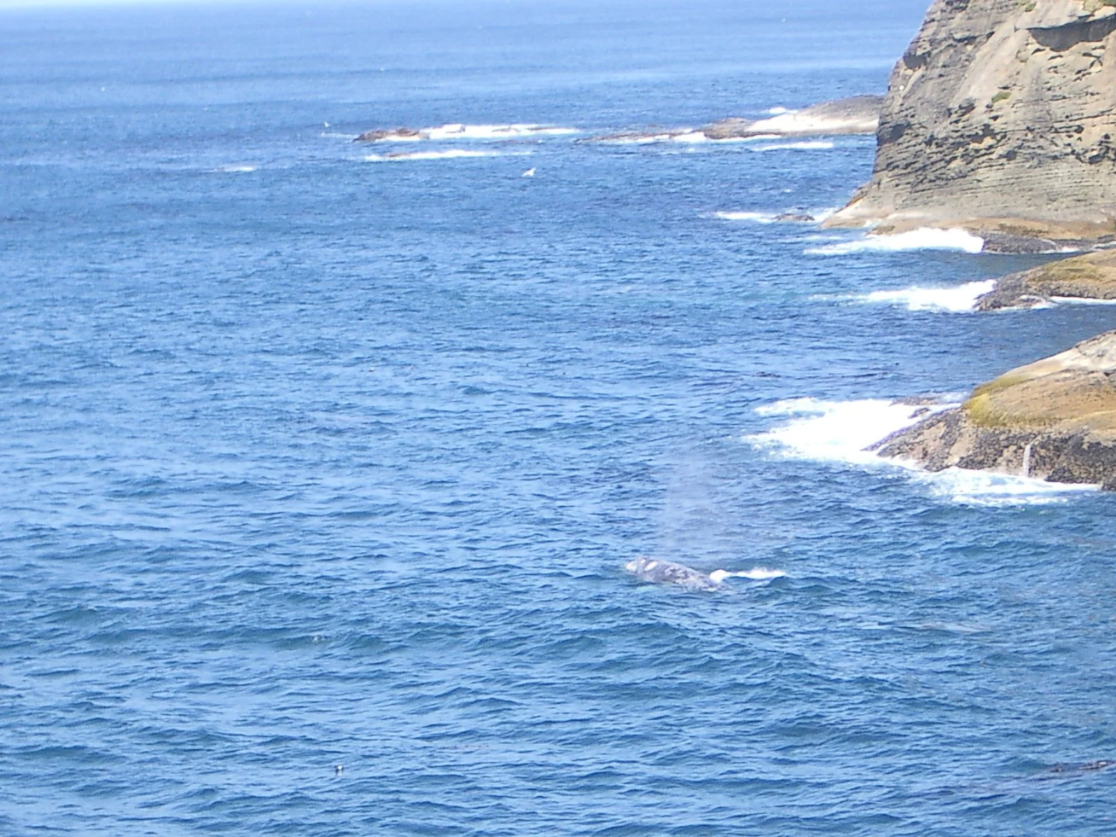 2003-7-31 FAMILY REUNION IN WASHINGTON AND CANADA (109).JPG