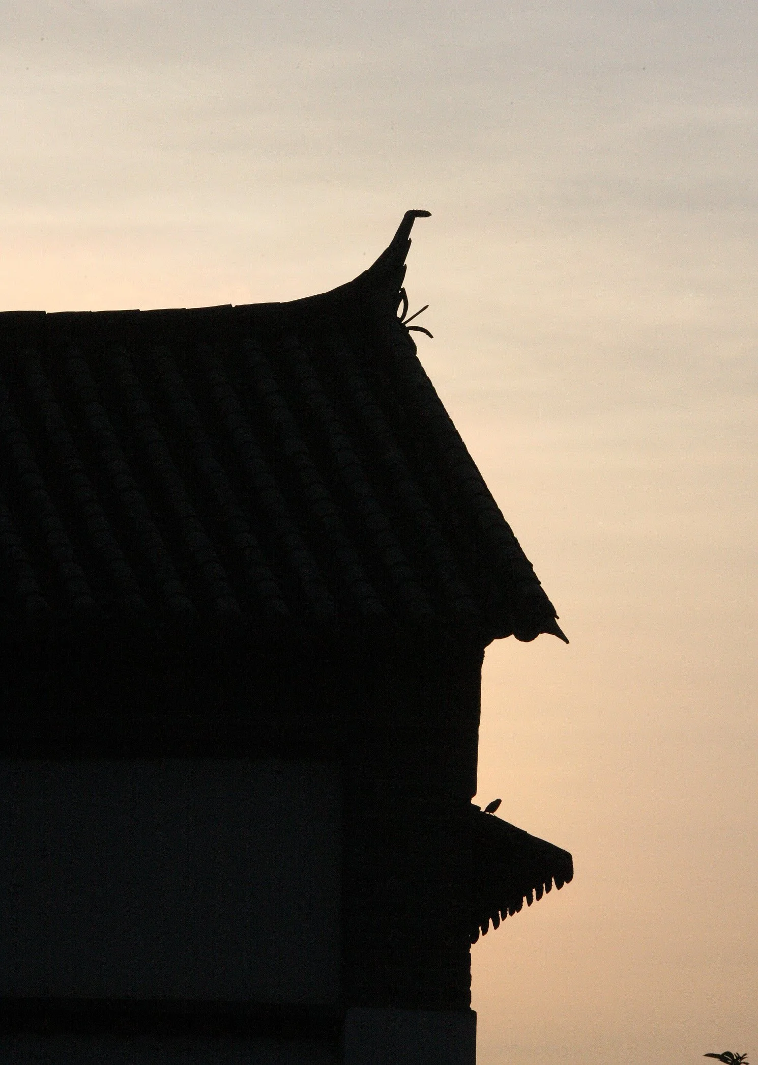 LINDEN CENTER - XIZHOU VILLAGE YUNNAN CHINA (79).JPG