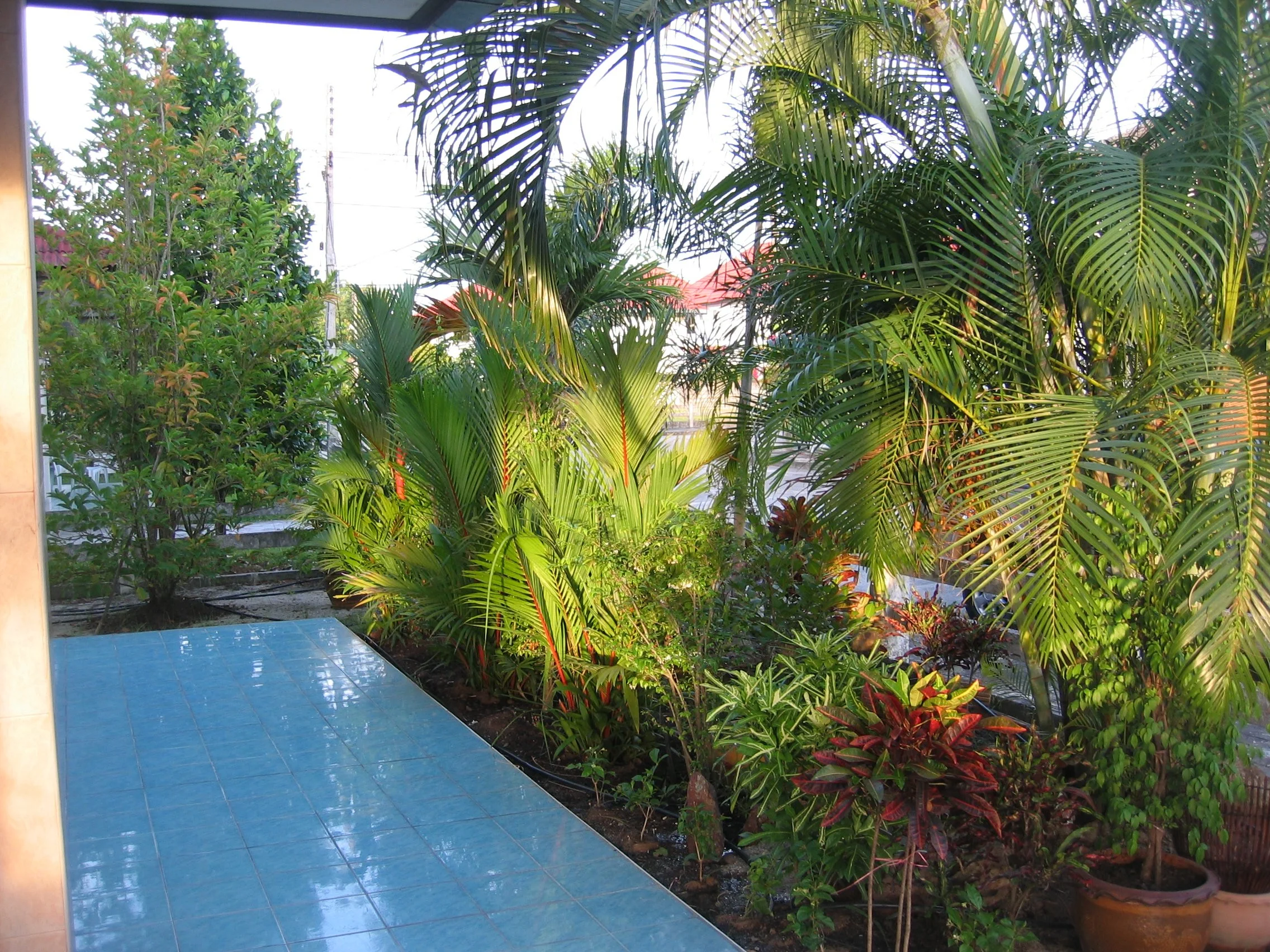2006 Nakhonsithammarat At Siam Nakhon Thani (11).JPG