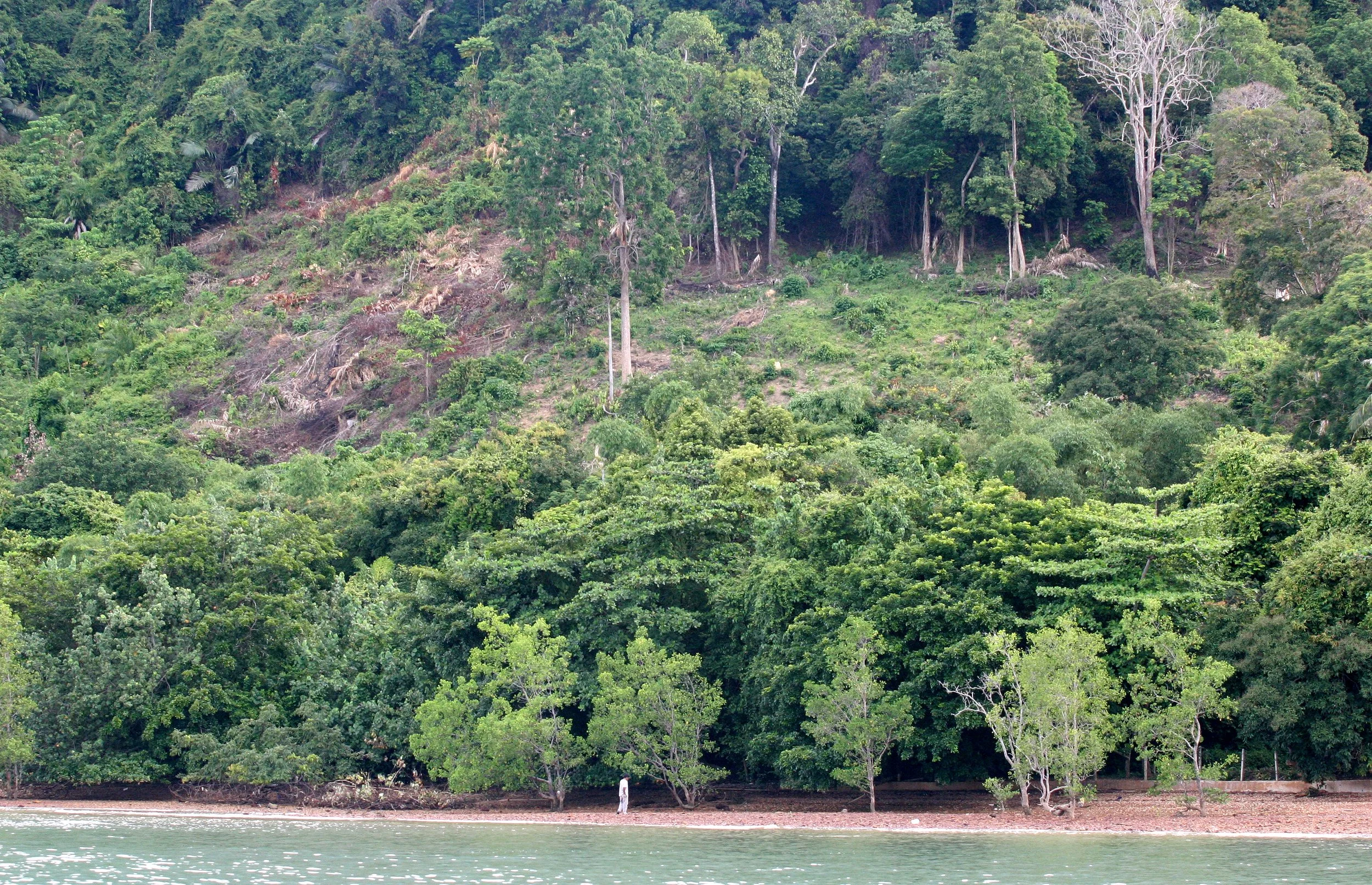 KOH LANTA - 2008 - PROPERTY VIEWS.JPG