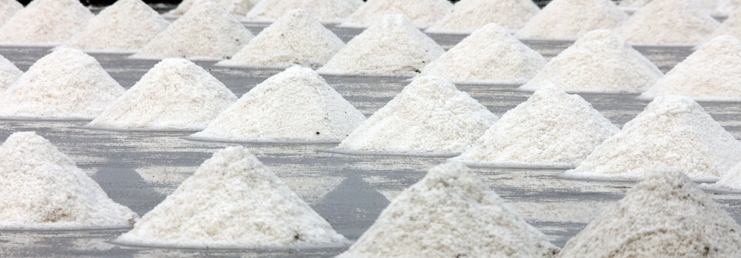 2011 Pak Thale Salt Ponds (12).JPG