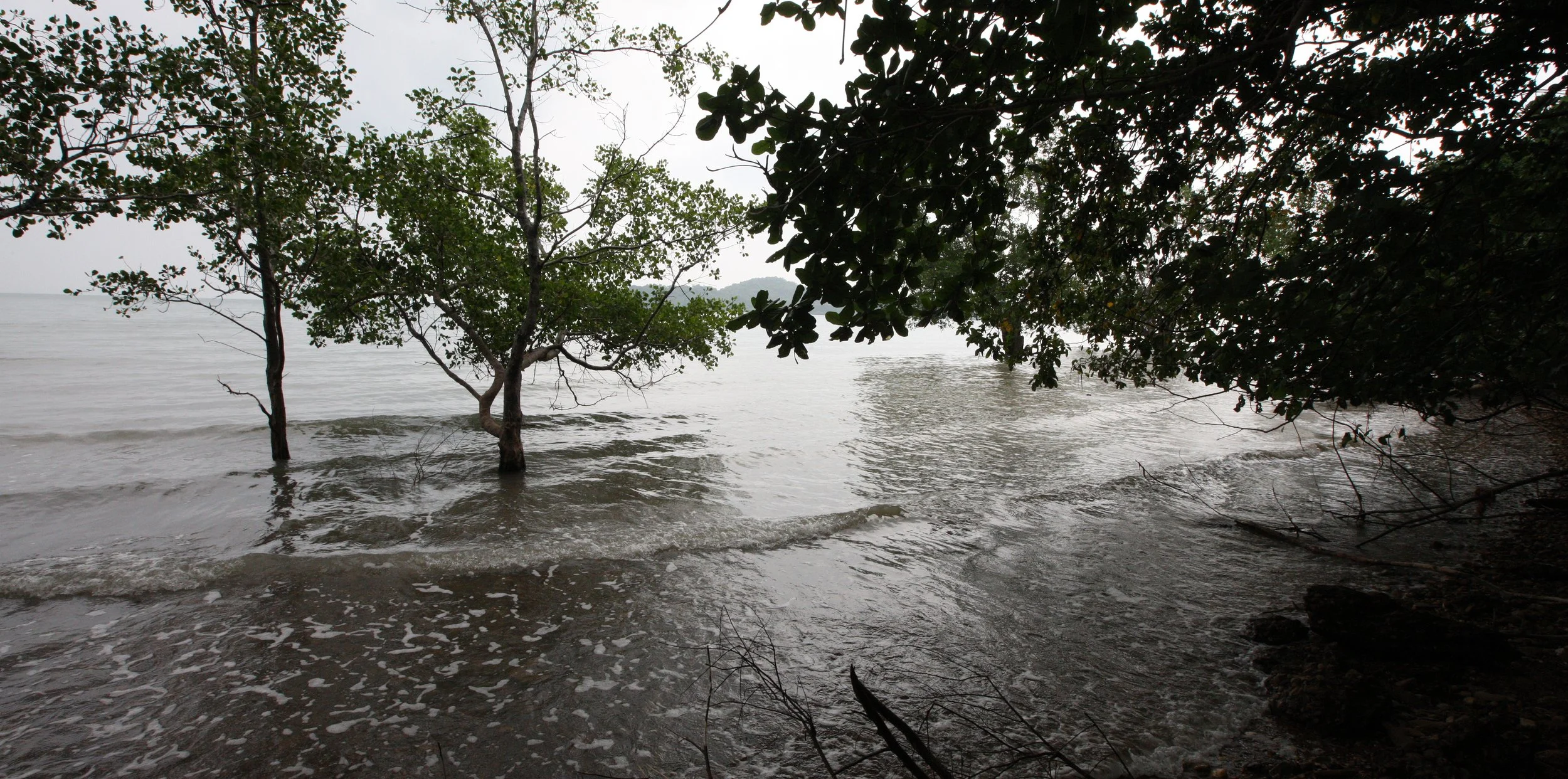 LANTA ISLAND - OUR PROPERTY - WINTER 2011 (18).JPG