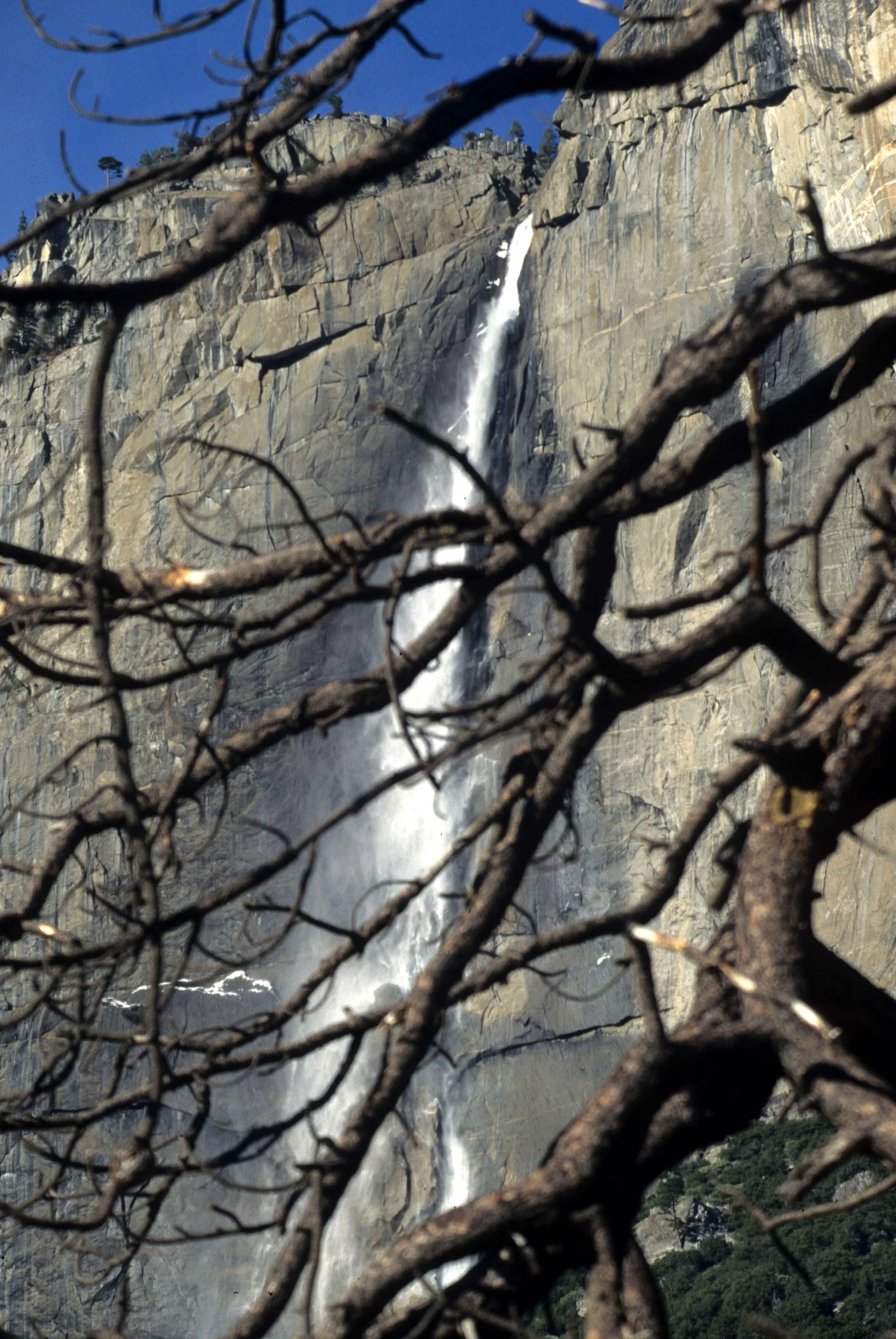 CALIFORNIA - YOSEMITE NP  (32).jpg