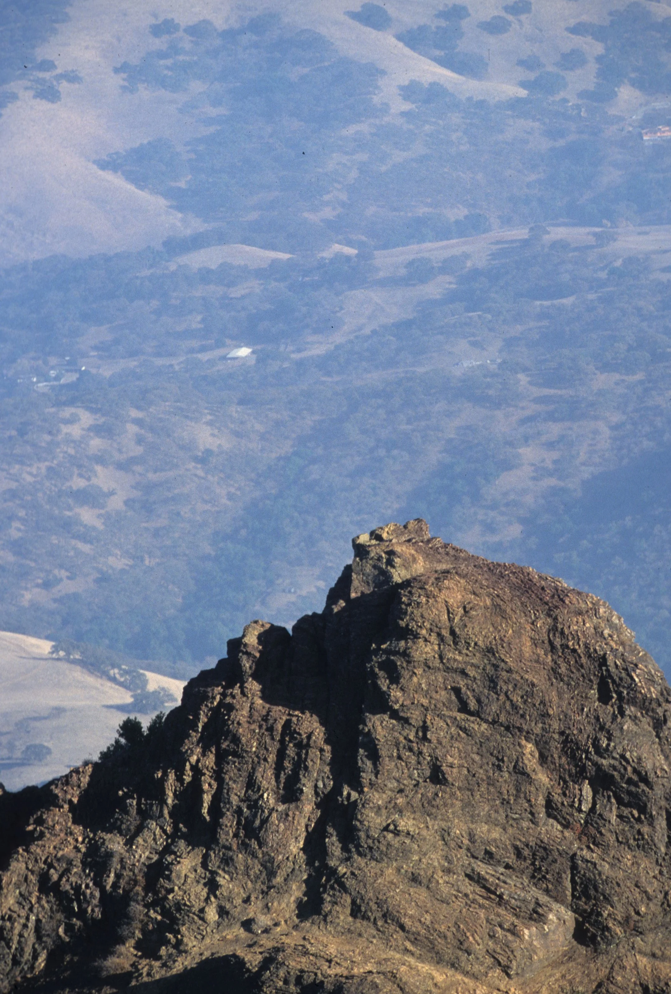 CALIFORNIA - MOUNT DIABLO - VIEW OF OAK WOODLANDS B (2).jpg