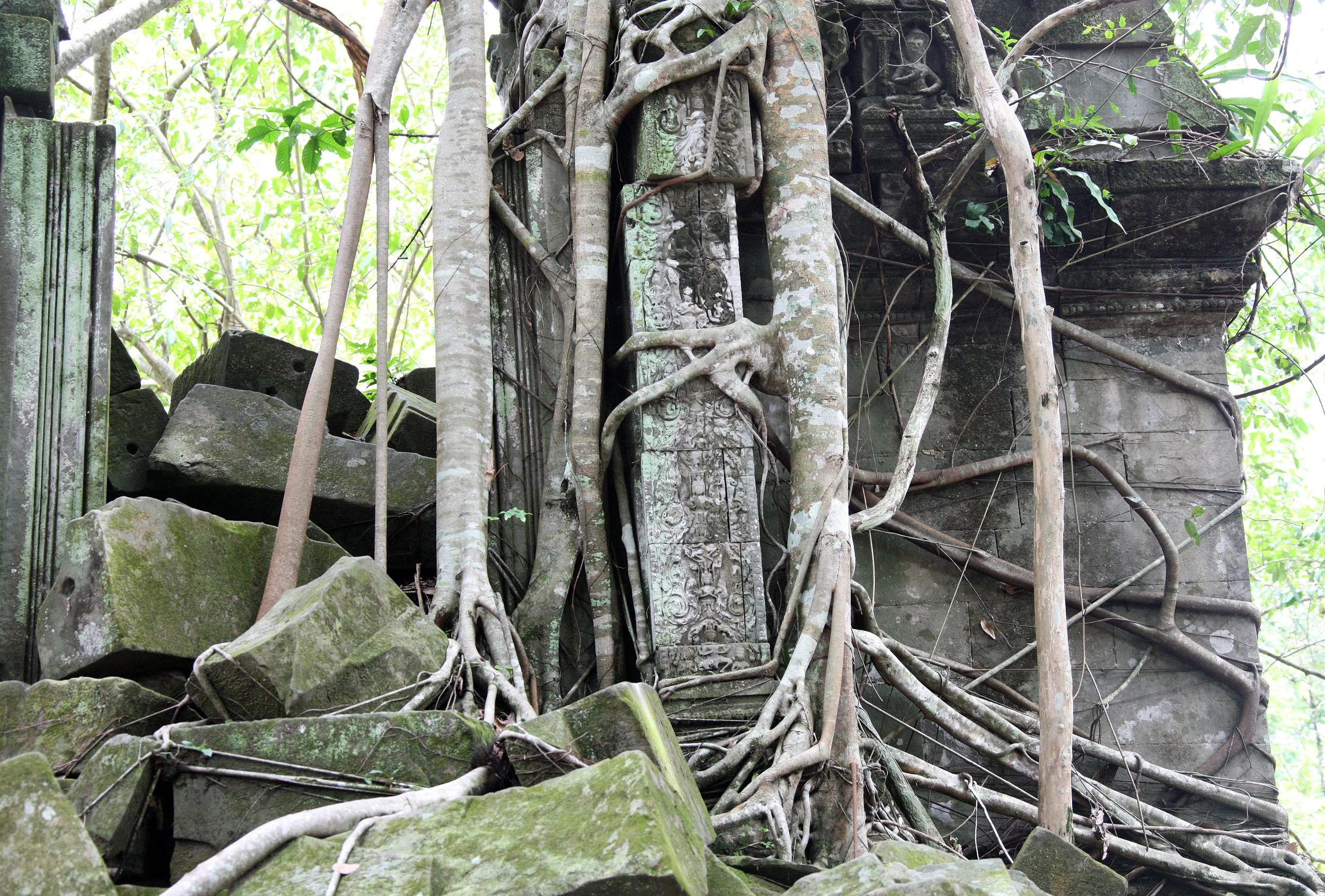 BENG MEALEA - CAMBODIA - JULY 2010 (58).JPG