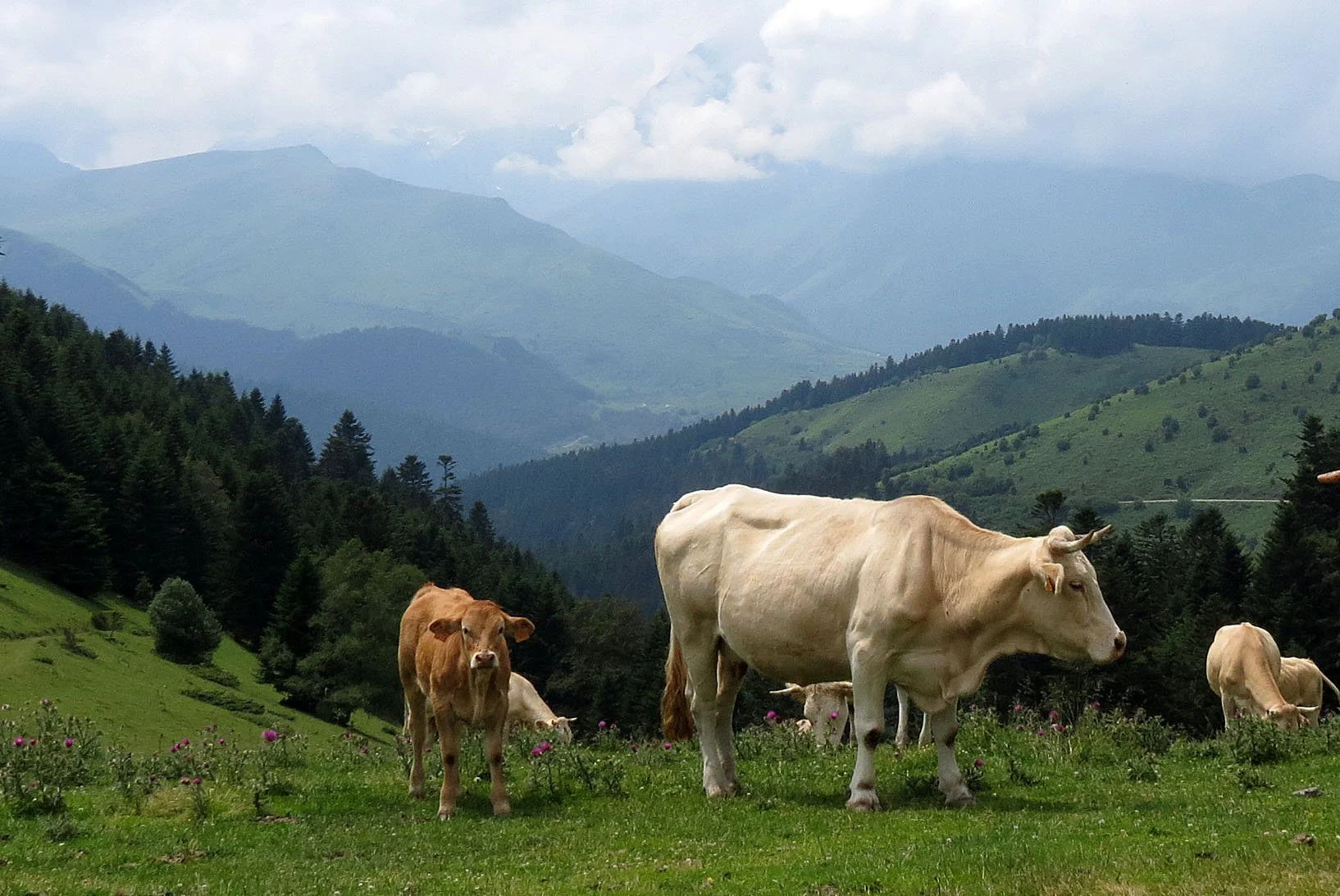 Arrens-Marsous Pyrenees National Park
