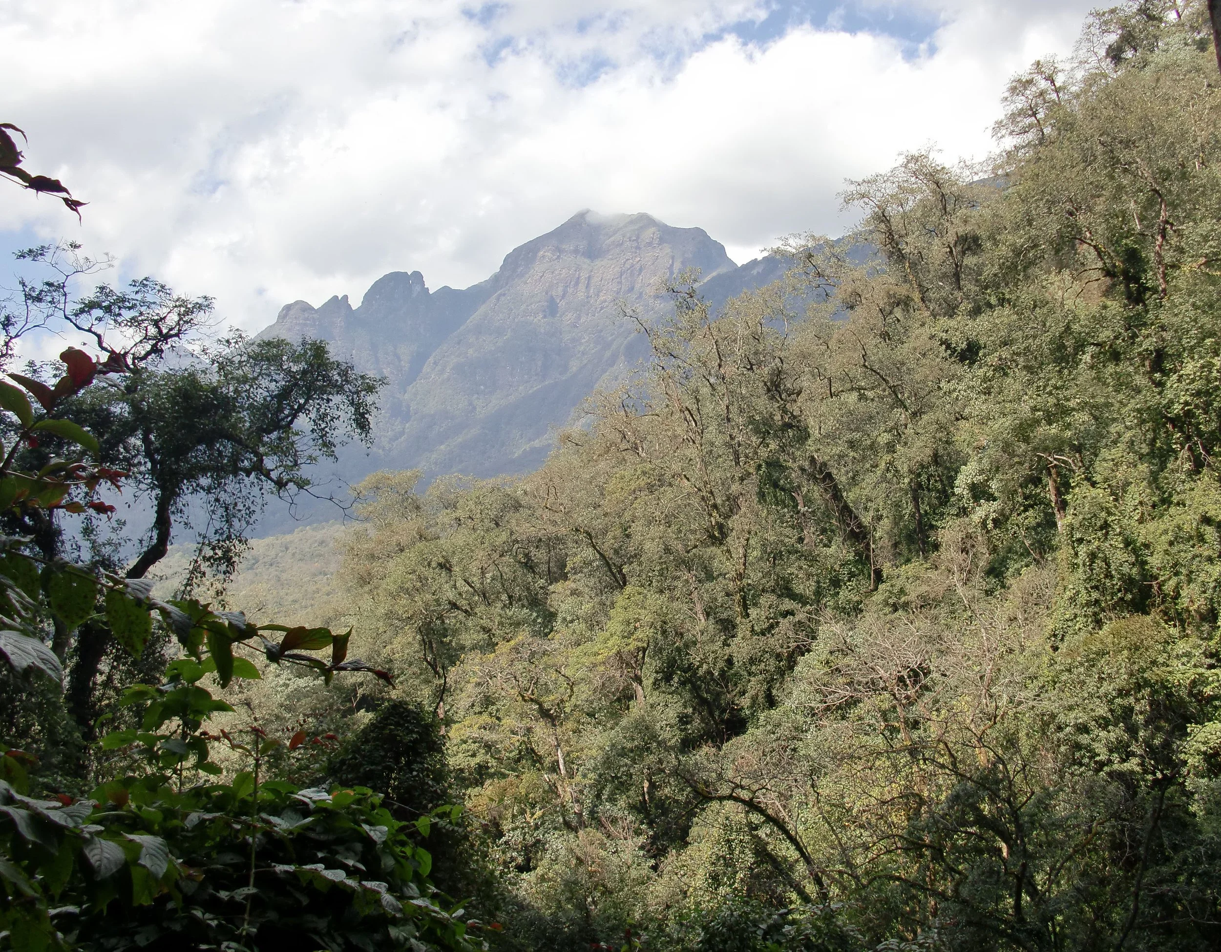 YUNNAN - WULIANGSHAN NATURE RESERVE AND SURROUNDING MOUNTAINS (10).JPG