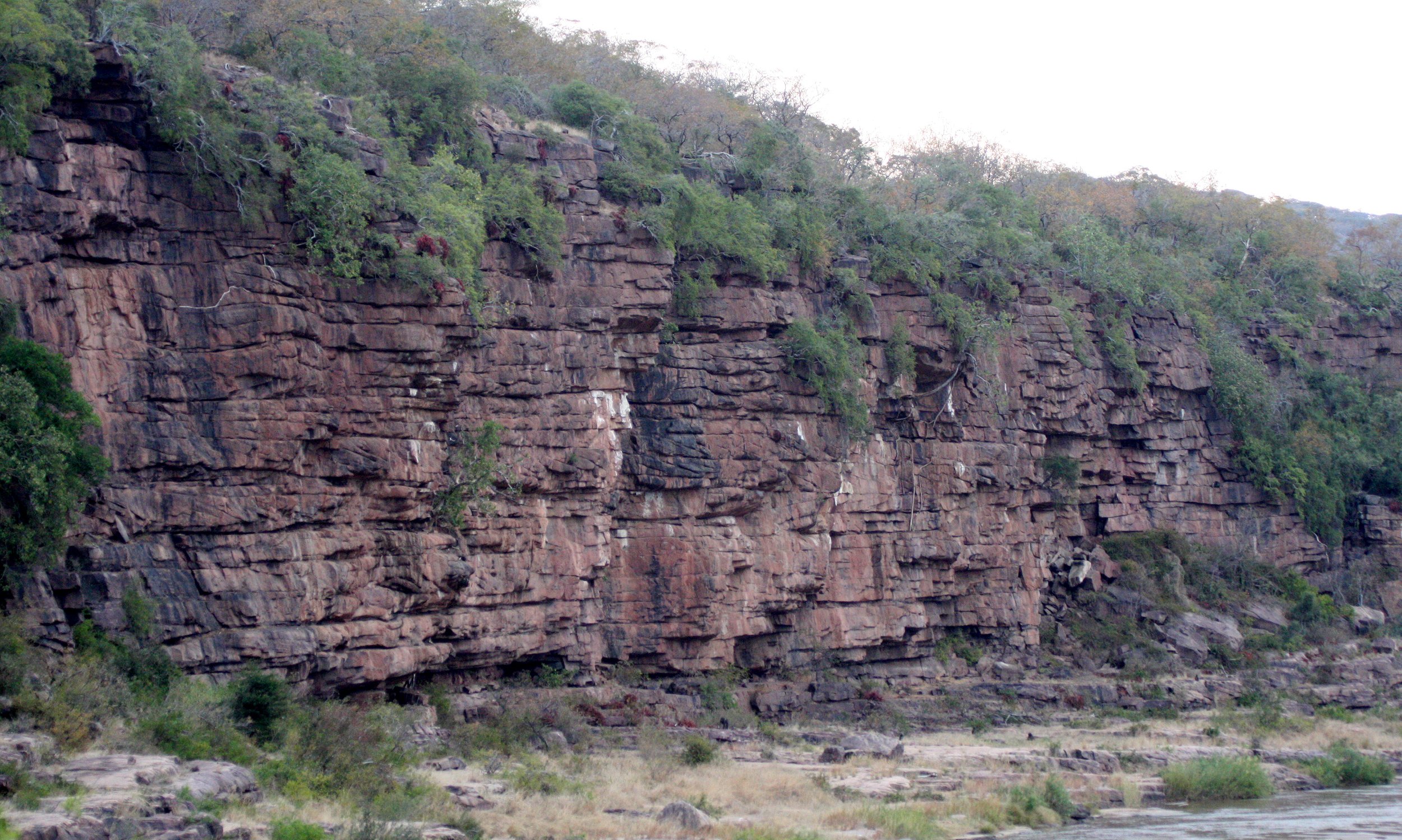 IMFOLOZI NATIONAL PARK SOUTH AFRICA - BUSHVELD COMMUNITY.JPG