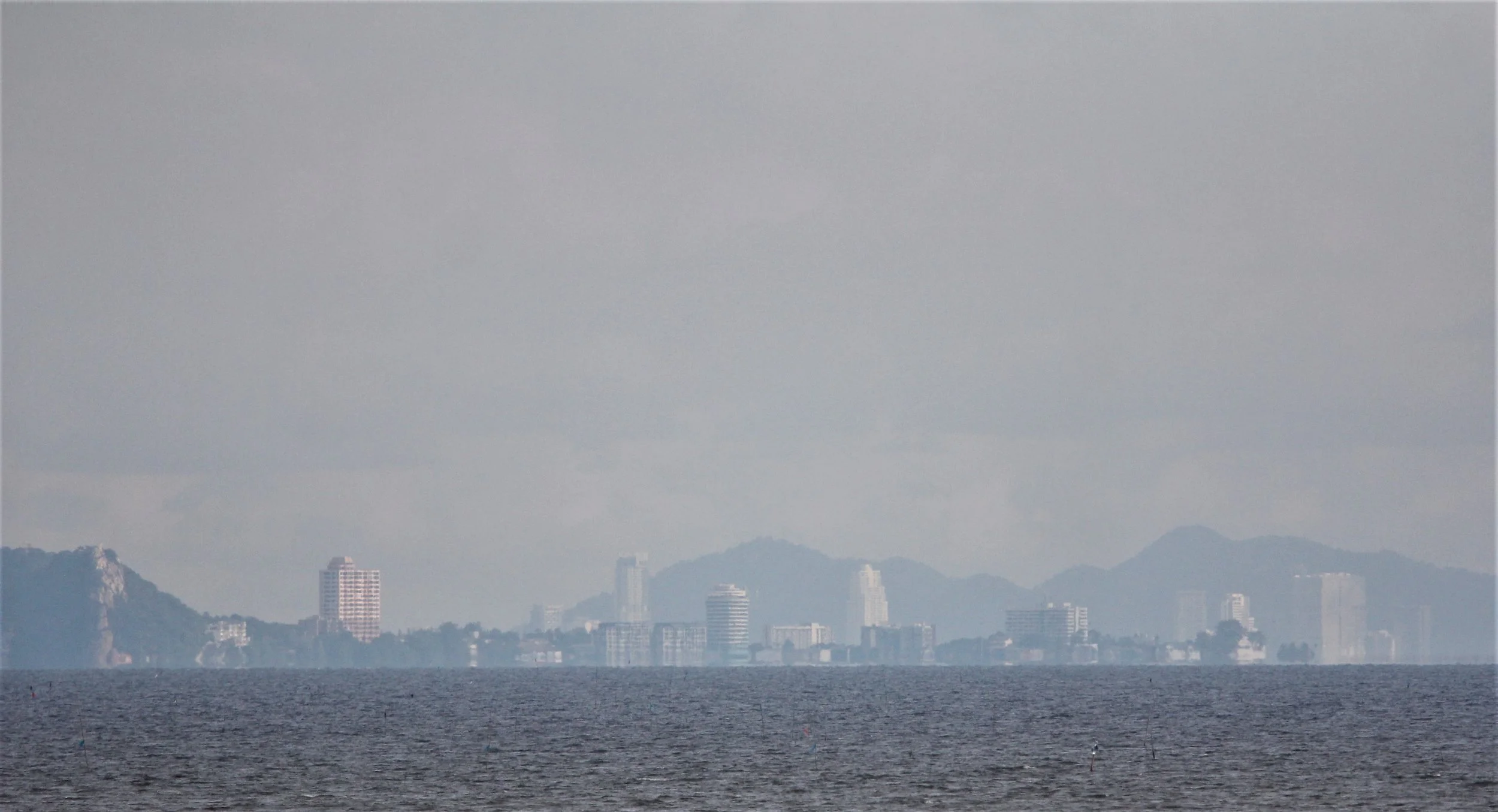 2019 Ban Pak Khlong Pramong in Chachoengsao Whale Trip (12).JPG