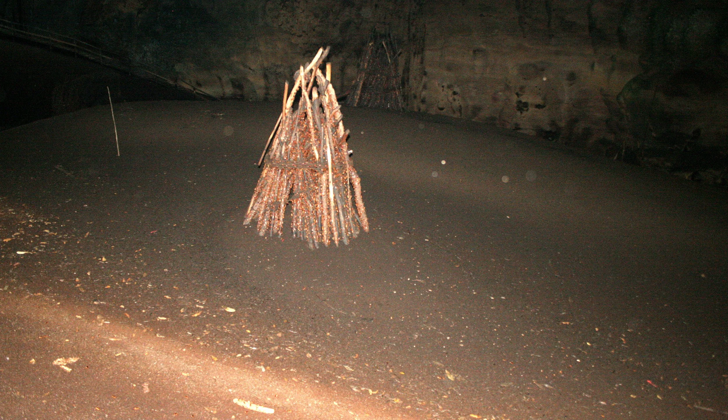 GAMONTONG CAVES BORNEO (12).JPG