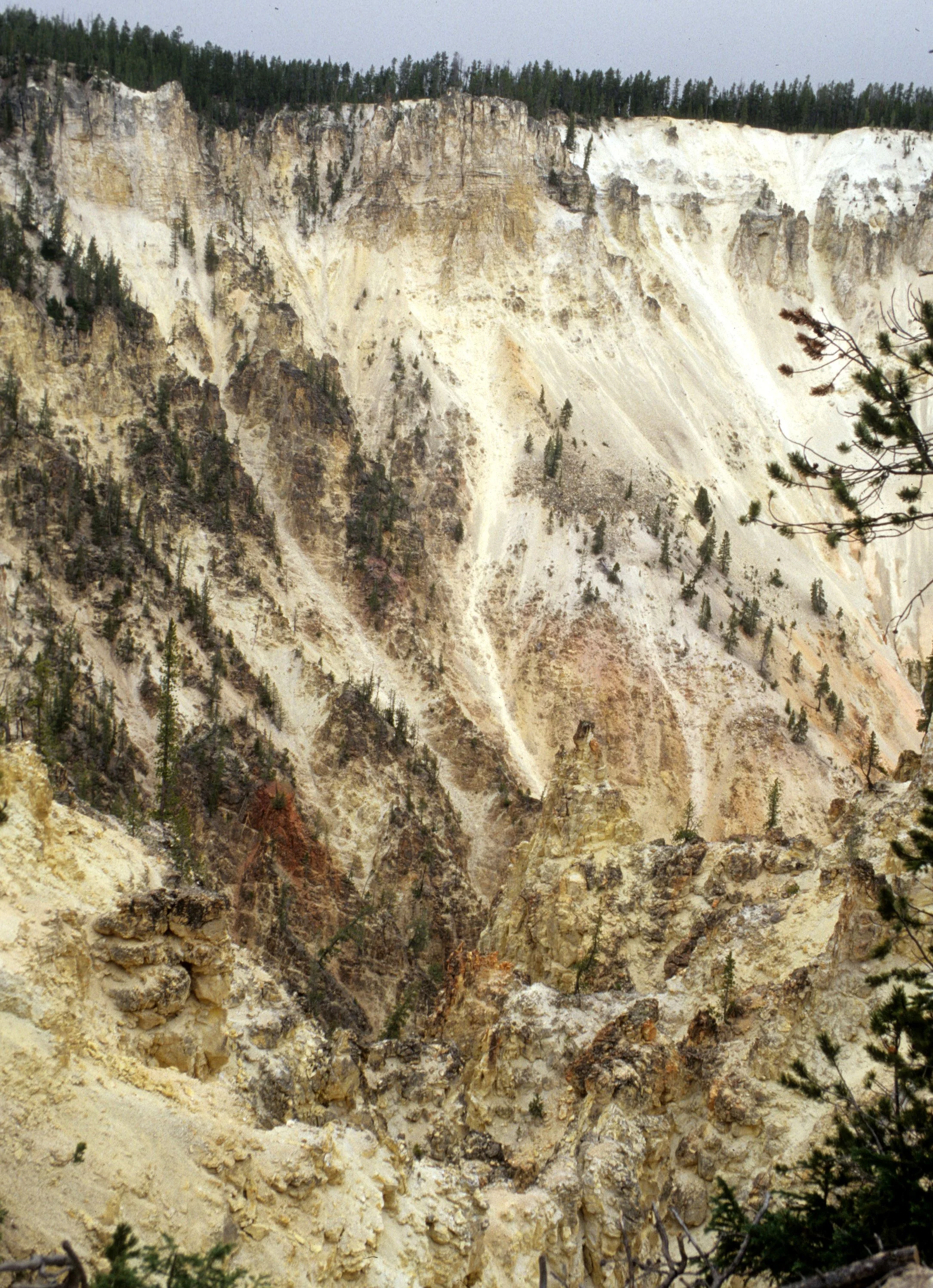 YELLOWSTONE - CANYON VIEW G.jpg