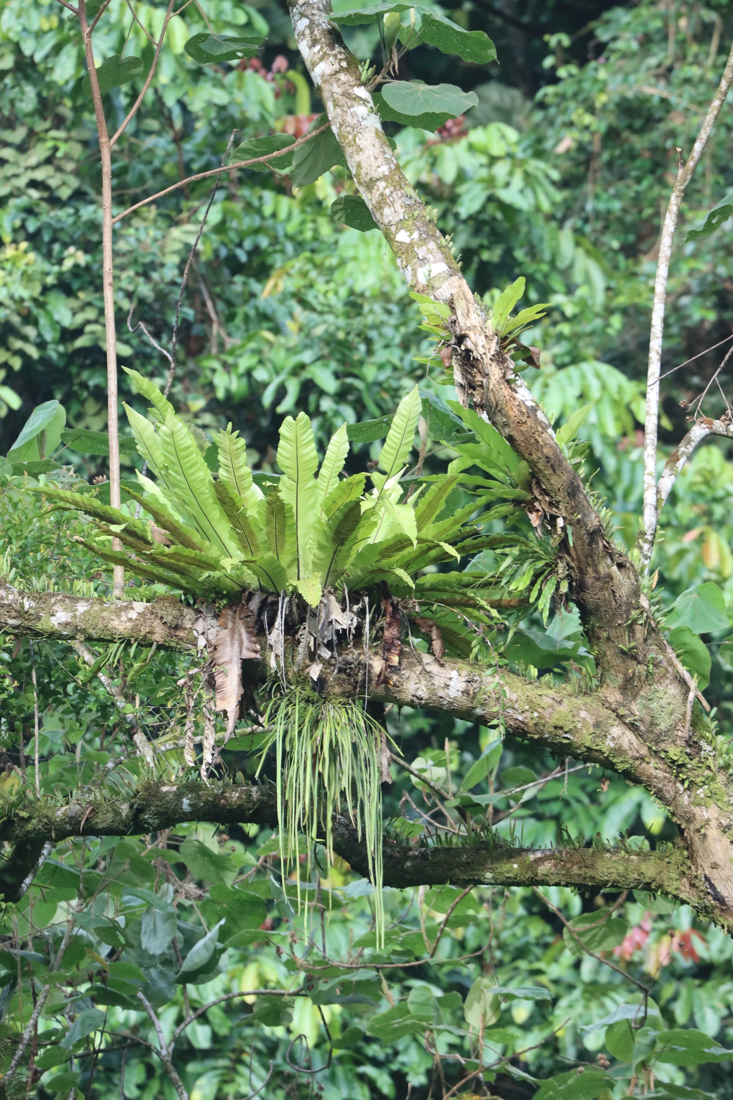 2020 Hala Bala WS Road Trip (5).JPG