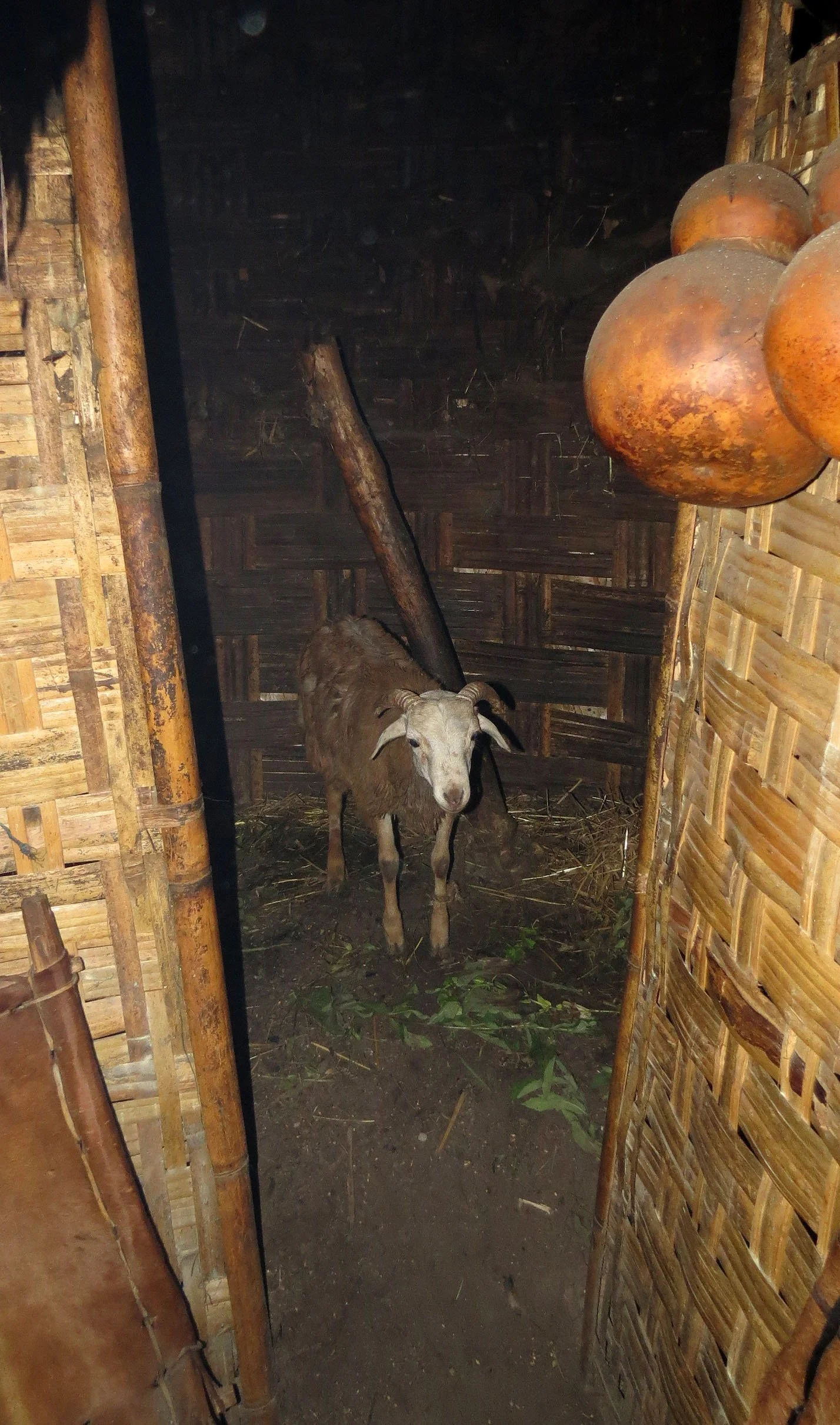 CHENCHA ETHIOPIA DORZE VILLAGE (11).JPG