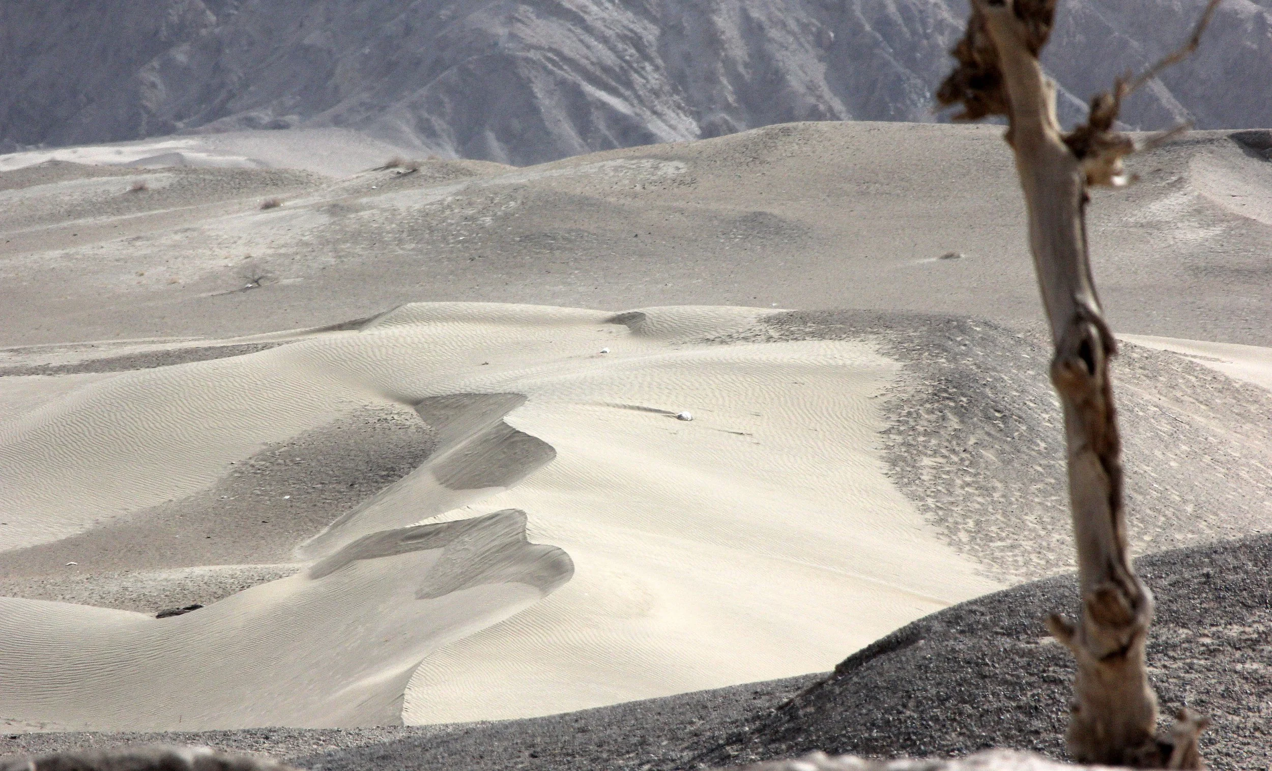 MOGAO GROTTOES - DUNHUANG GANSU CHINA (12).JPG