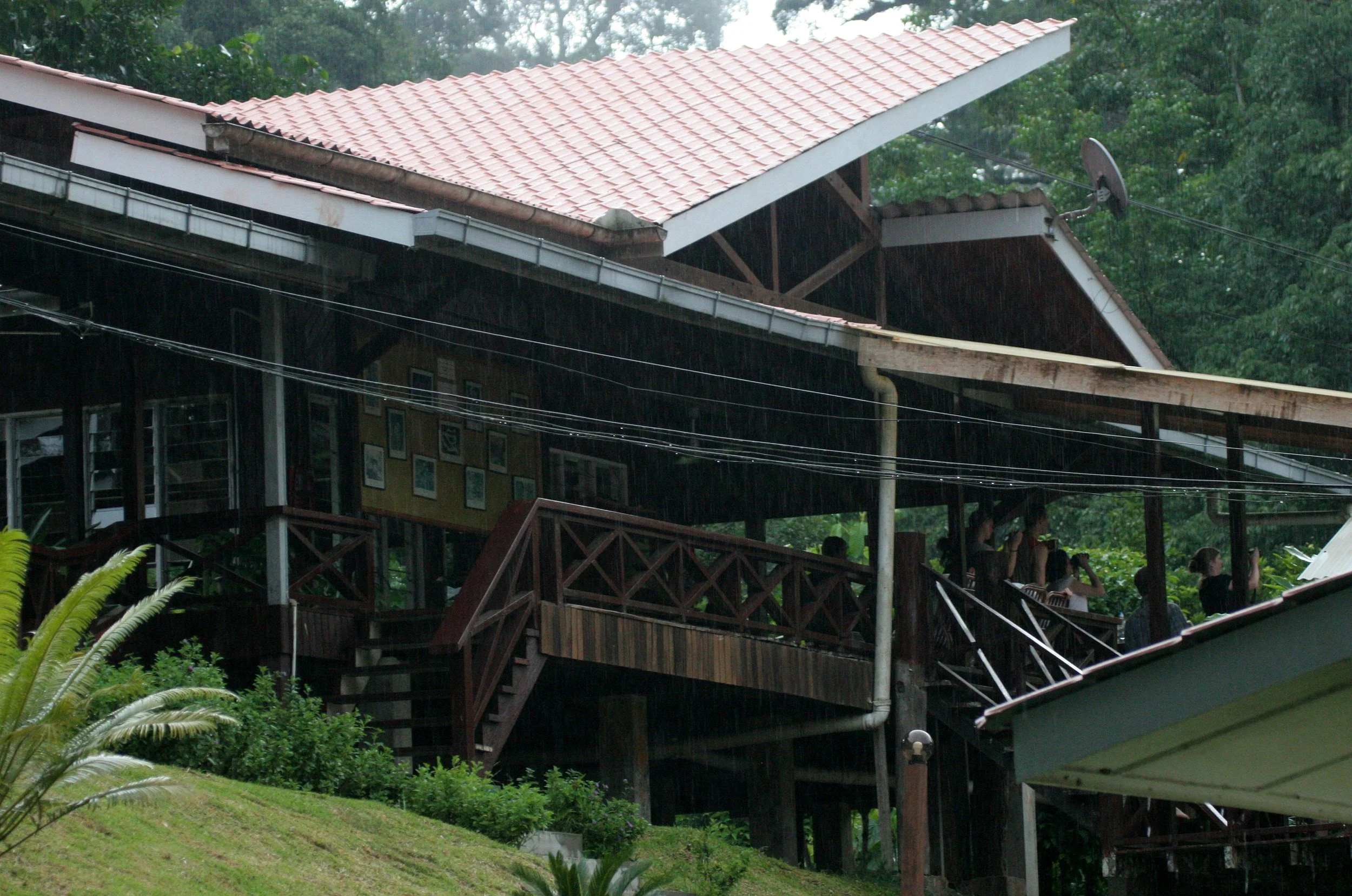 DANUM VALLEY BORNEO - DVFC (4).JPG