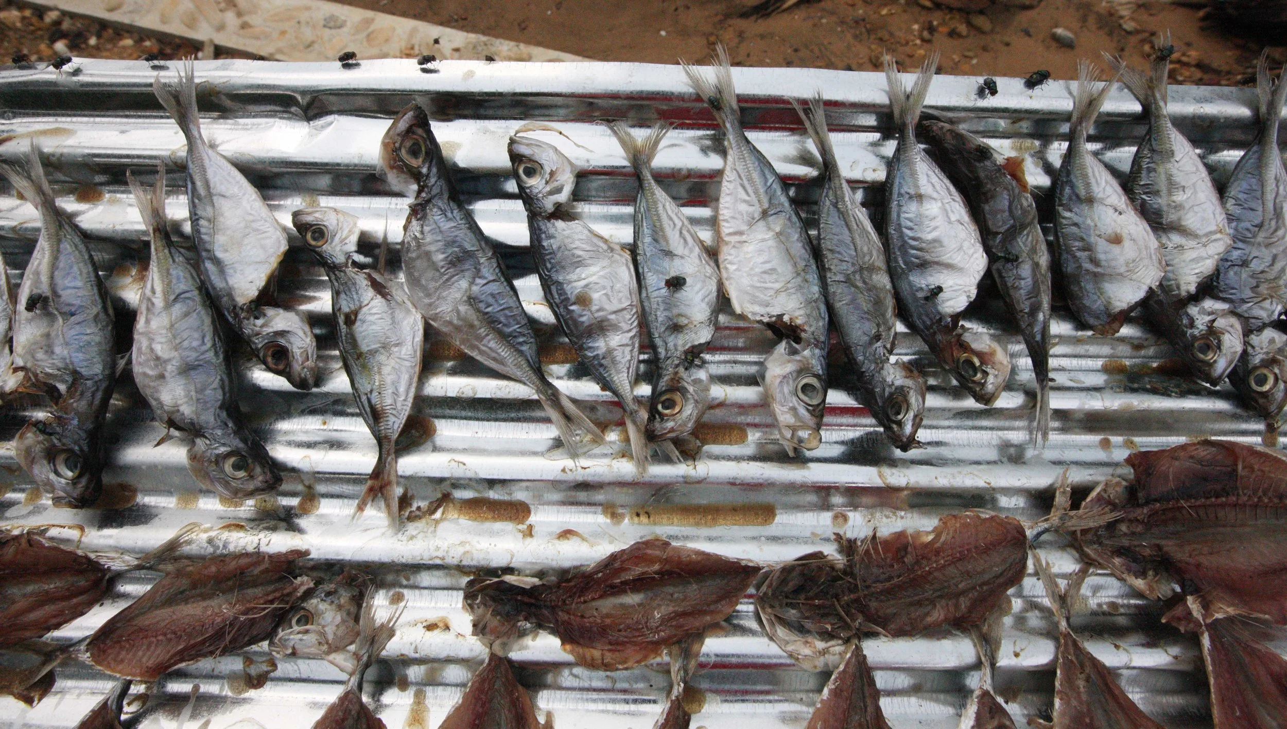 2015 Koh Lanta Songkran with friends from ISB (287).JPG