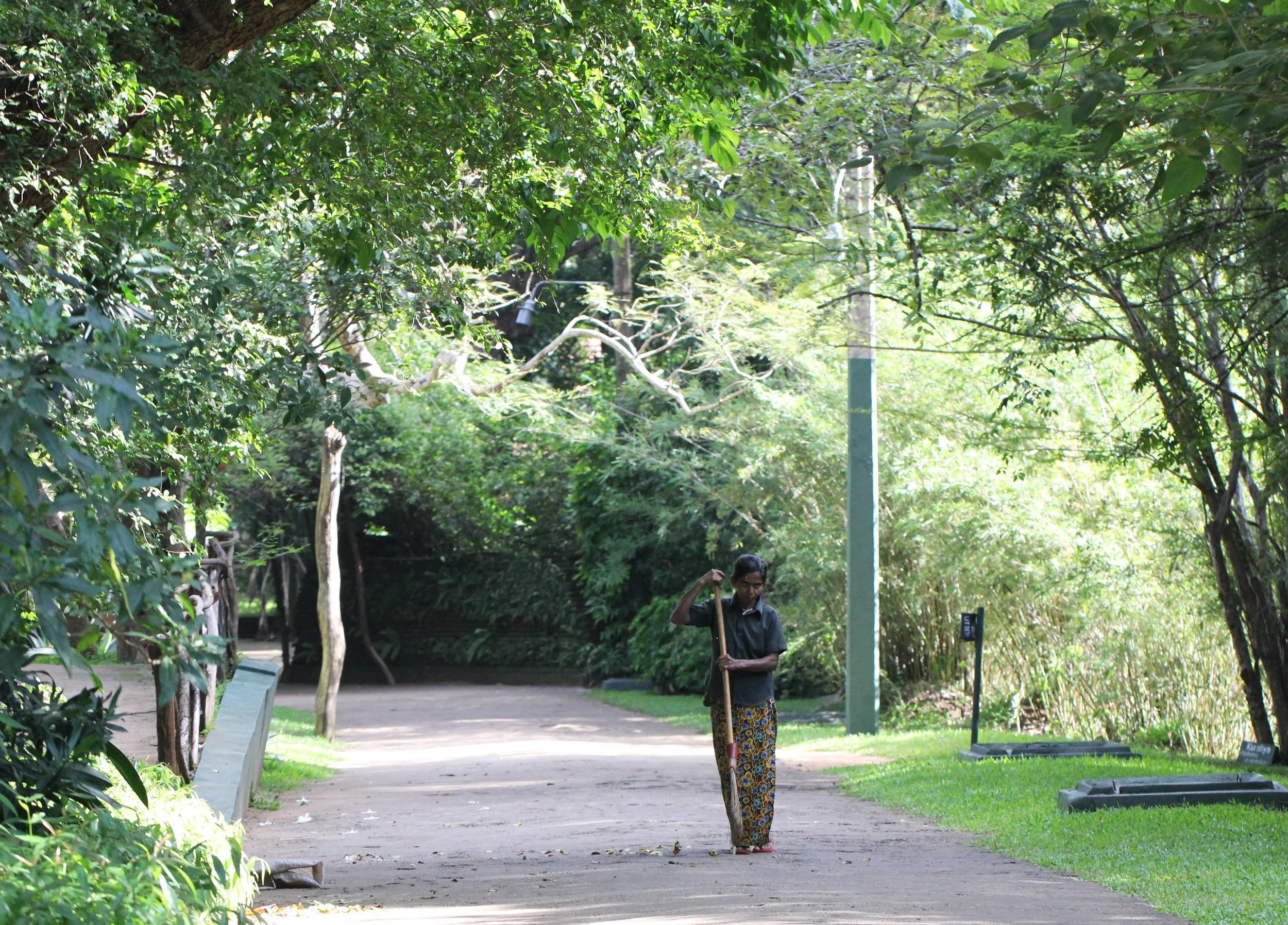 SIRIGIYA FOREST AND FORTRESS AREA SRI LANKA - PHOTO BY SOM SMITH (53).JPG